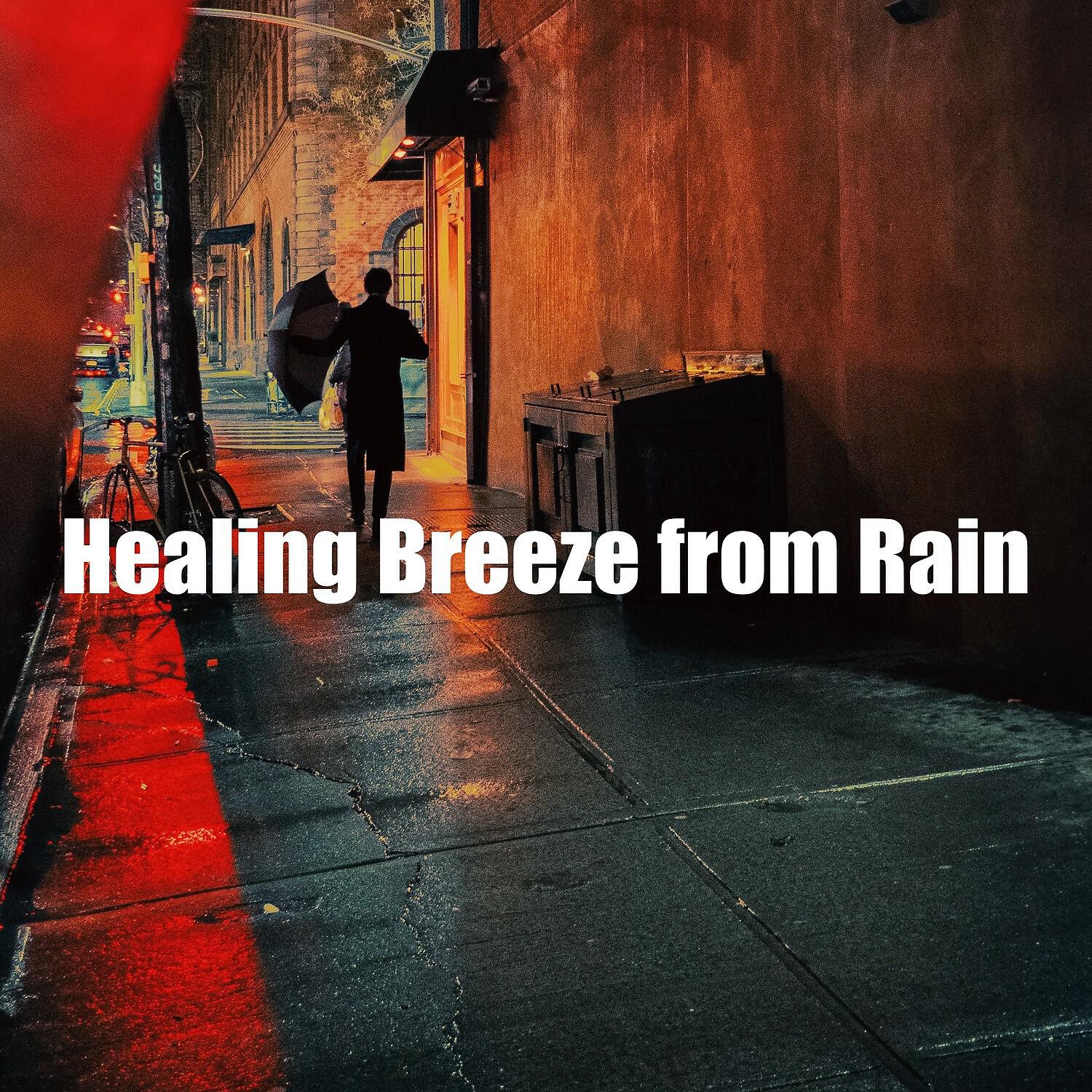 Calm Weather Factory - Rain Solitary