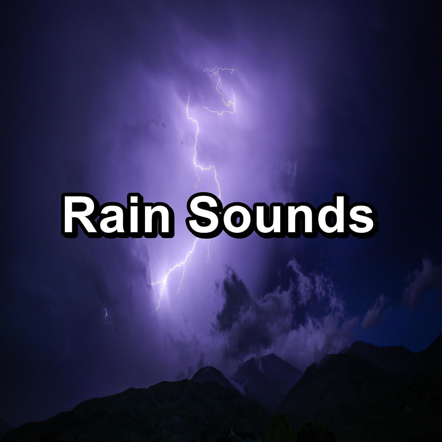 Relax Meditate Sleep - Forest Rain For Yoga and Meditiation To Repeat for 10 Hours