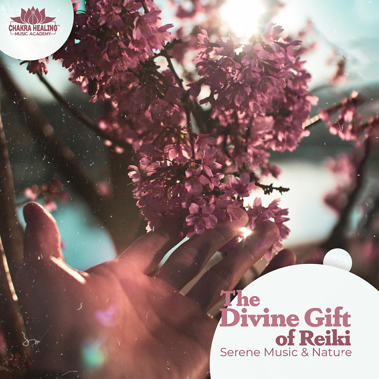Chakra Healing Music Academy - Inner Power