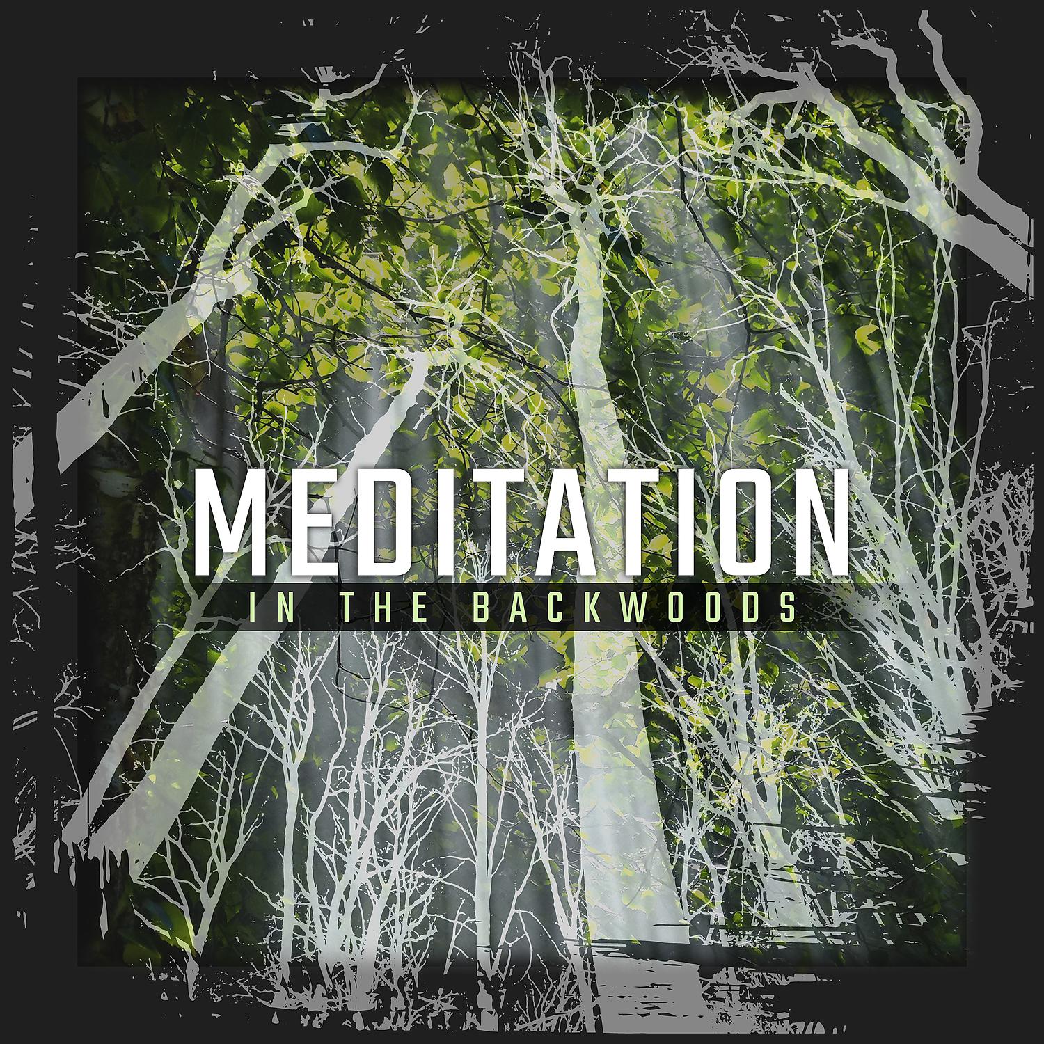 Постер альбома Meditation in the Backwoods: Calming Nature Ambiance, Zen Anti Stress Therapy