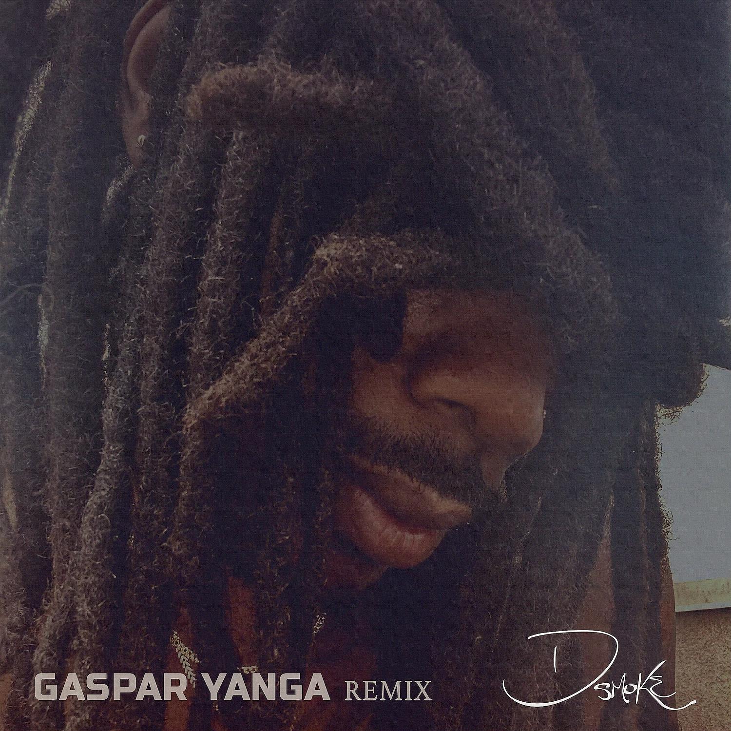 Постер альбома Gaspar Yanga (Remix)