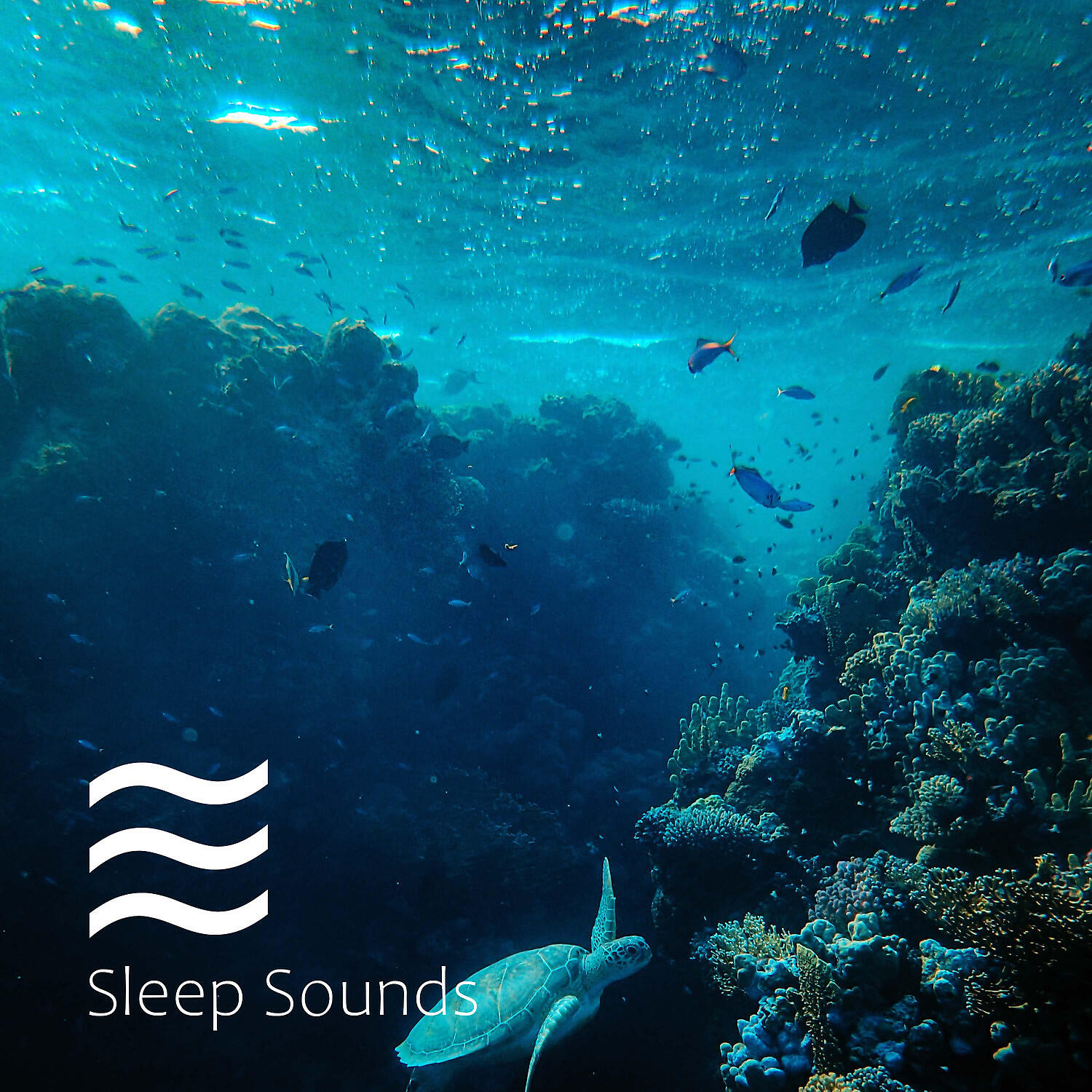 Vacuum Cleaner White Noises for Sleep - Mellow Sleep Baby Sough