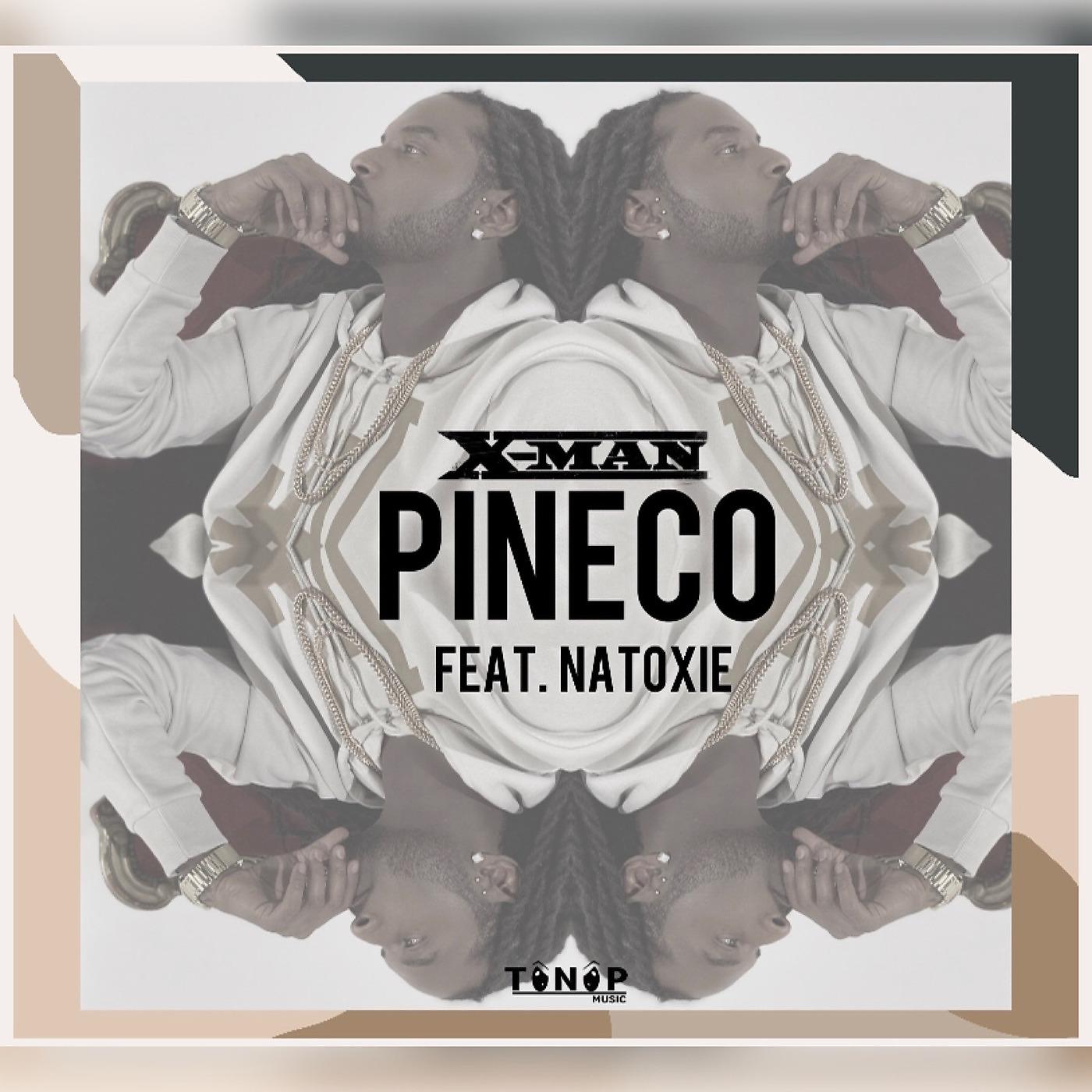Постер альбома Pineco