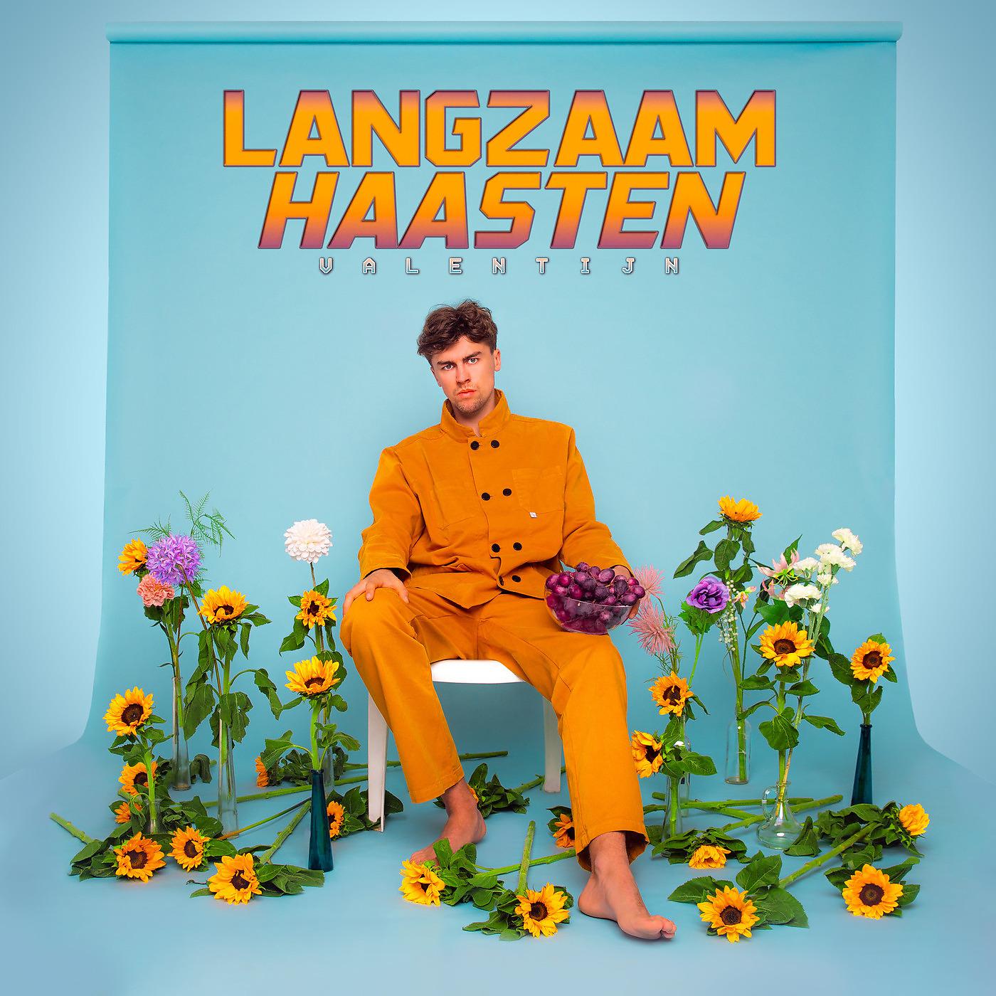 Постер альбома Langzaam Haasten