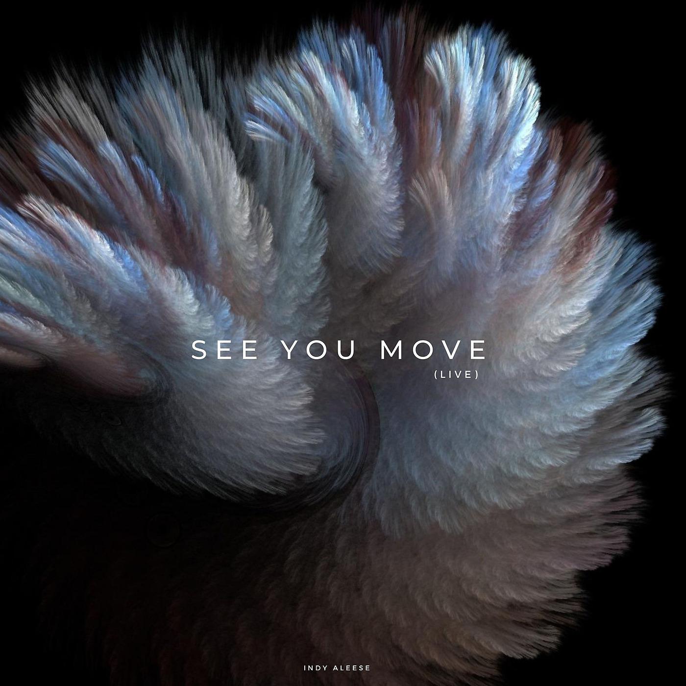 Постер альбома See You Move (Live)