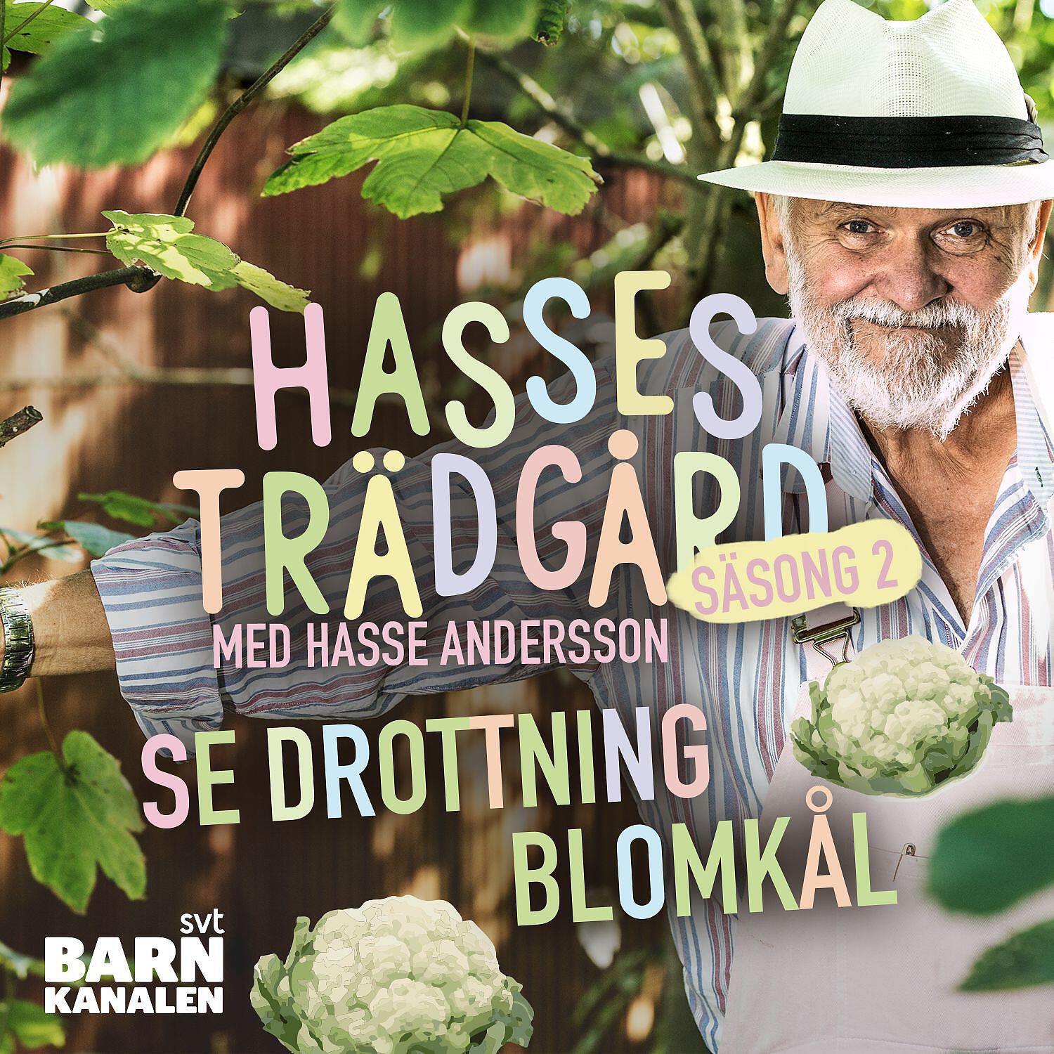 Hasse Andersson - Om man är ett frö