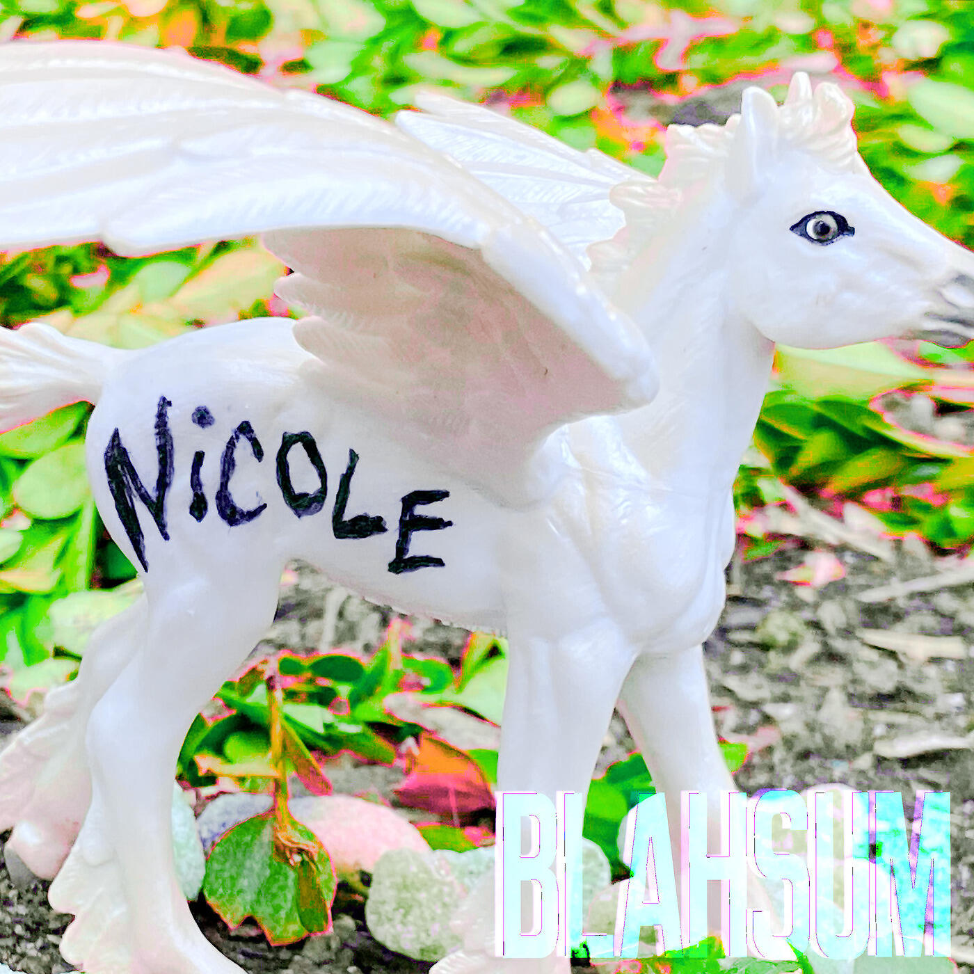 BLAHSUM - Nicole