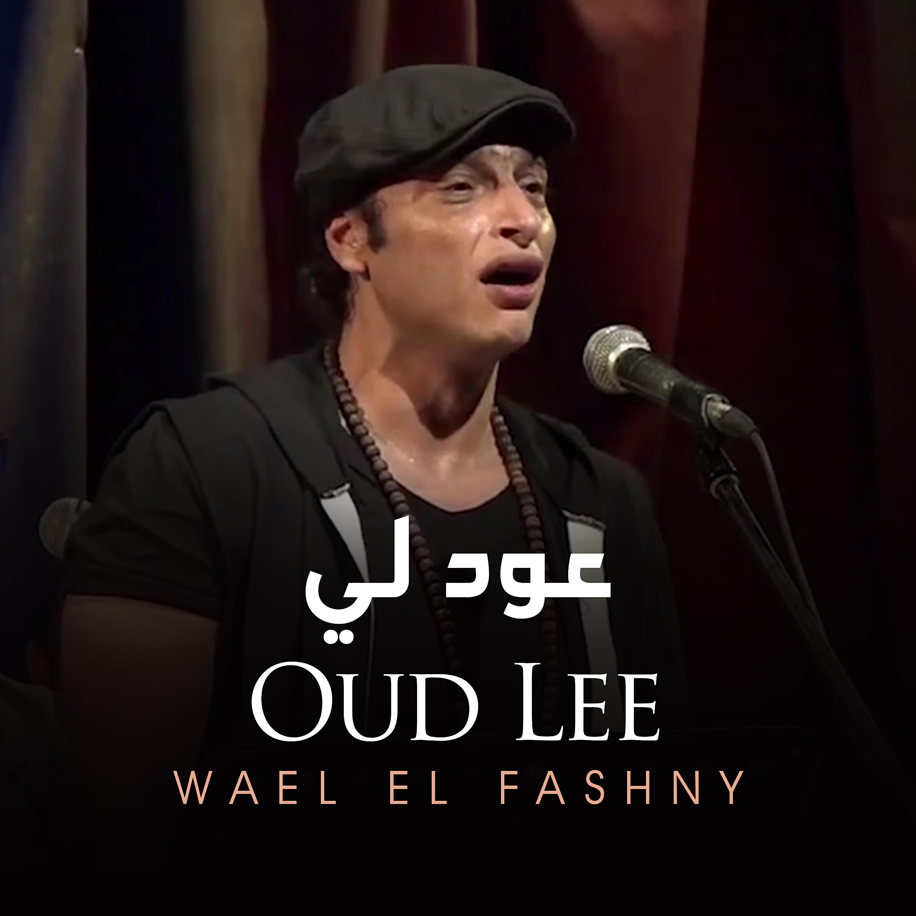 Wael El Fashny - Oud Lee