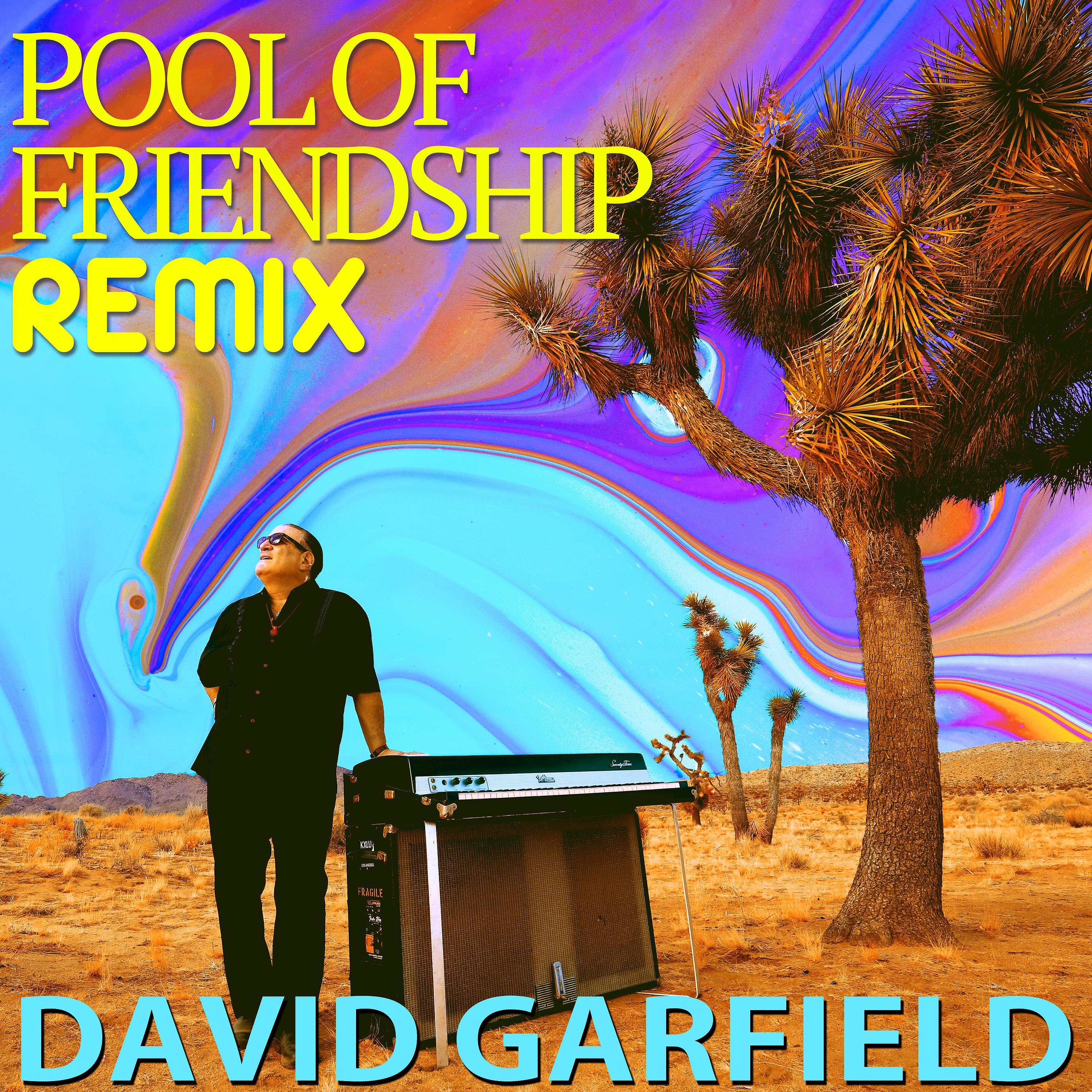 Постер альбома Pool of Friendship (Remix)