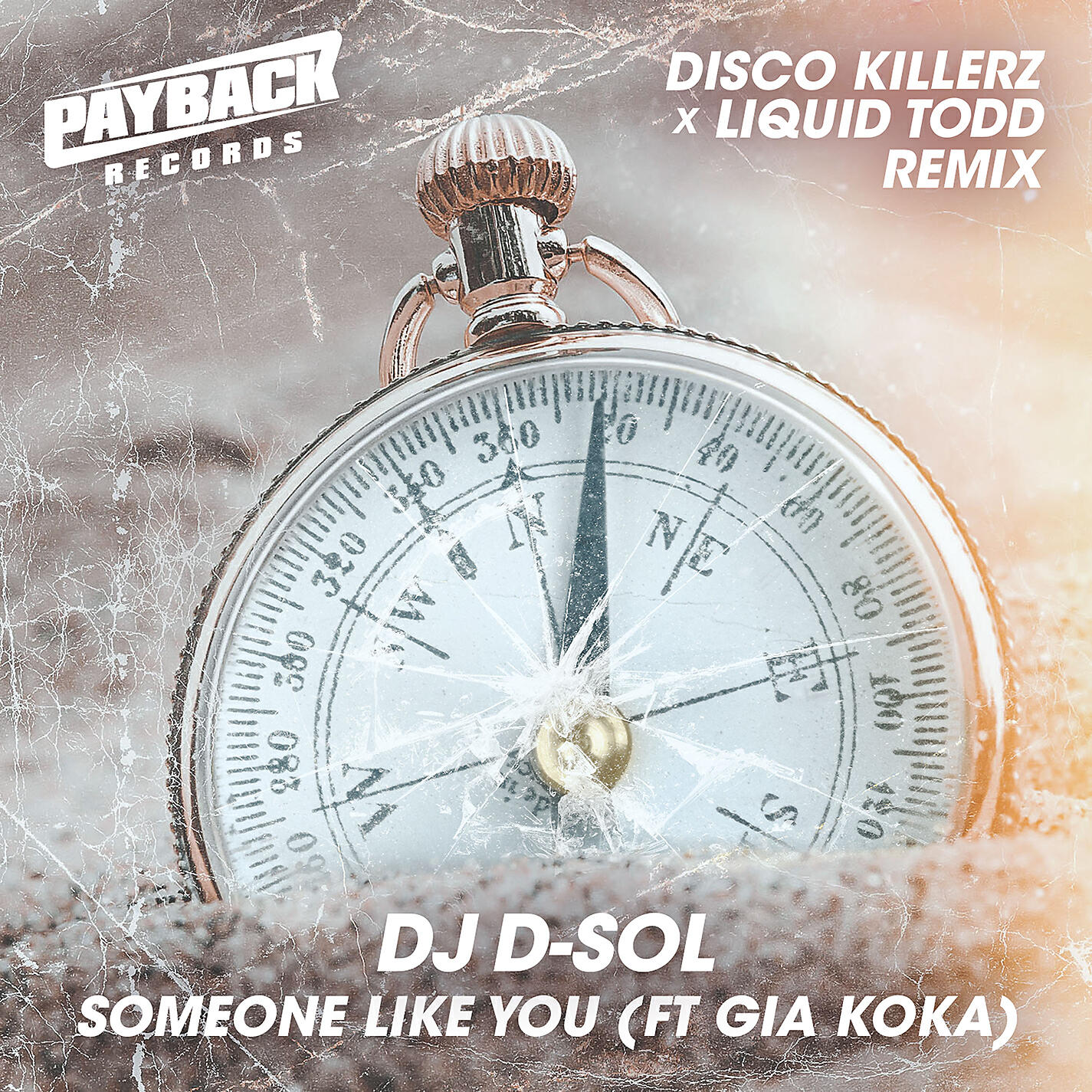 David Solomon - Someone Like You (feat. Gia Koka) [Disco Killerz & Liquid Todd Remix]