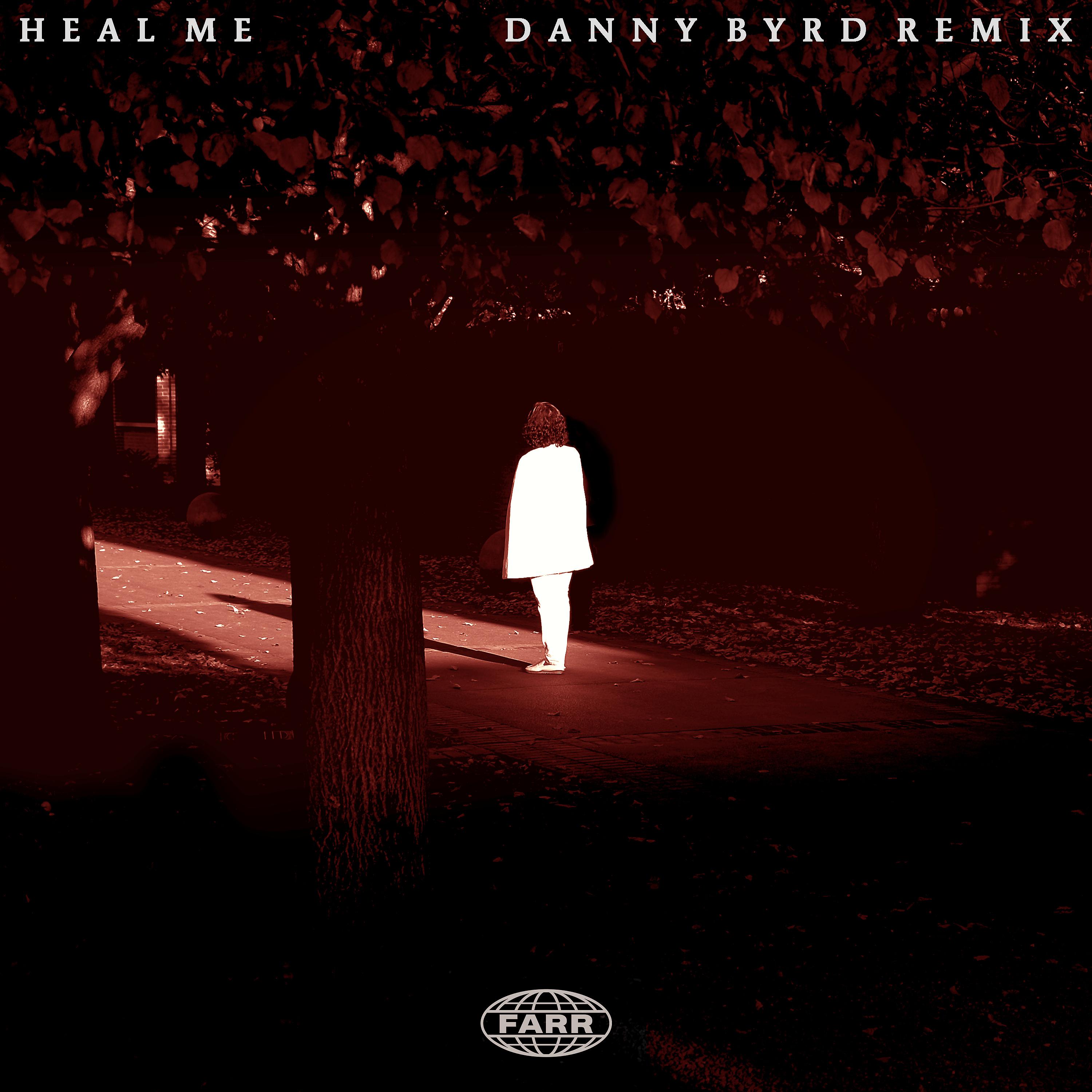 Постер альбома Heal Me (Danny Byrd Remix)
