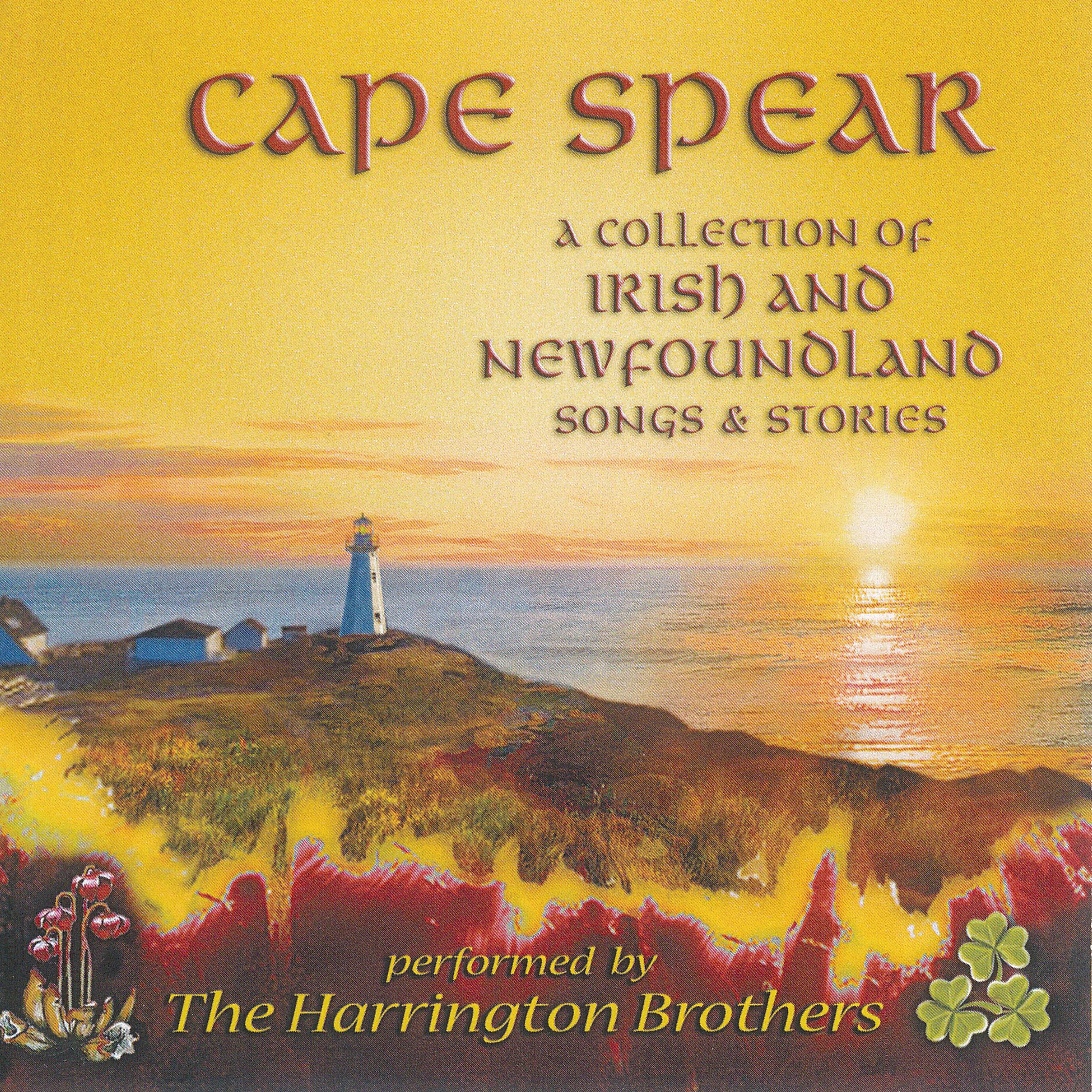 Постер альбома Cape Spear: a Collection of Irish and Newfoundland Songs & Stories