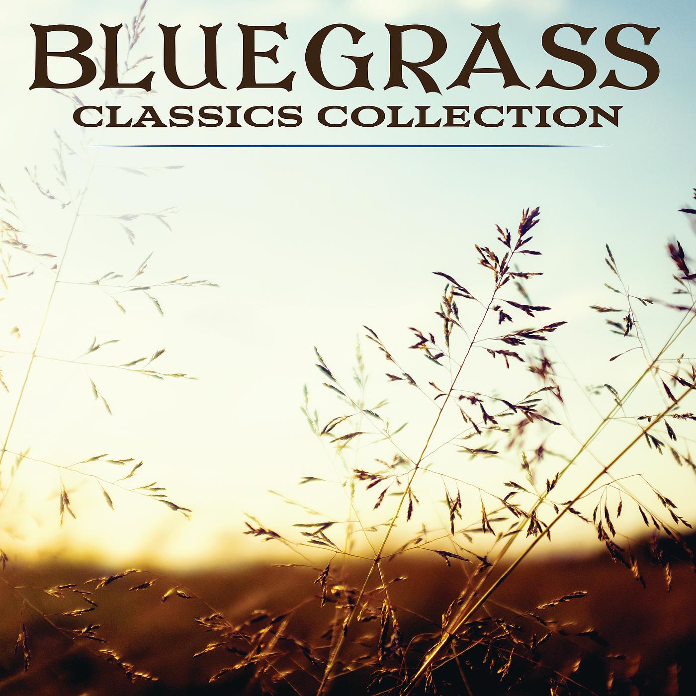 Hylo Brown & The Timberliners - Foggy Went A Courtin’