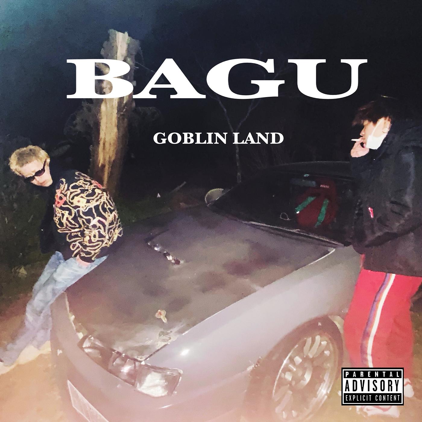Постер альбома Bagu