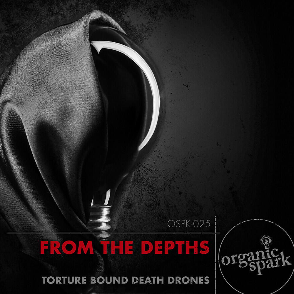 Organic Spark - Sinister Thoughts Entice