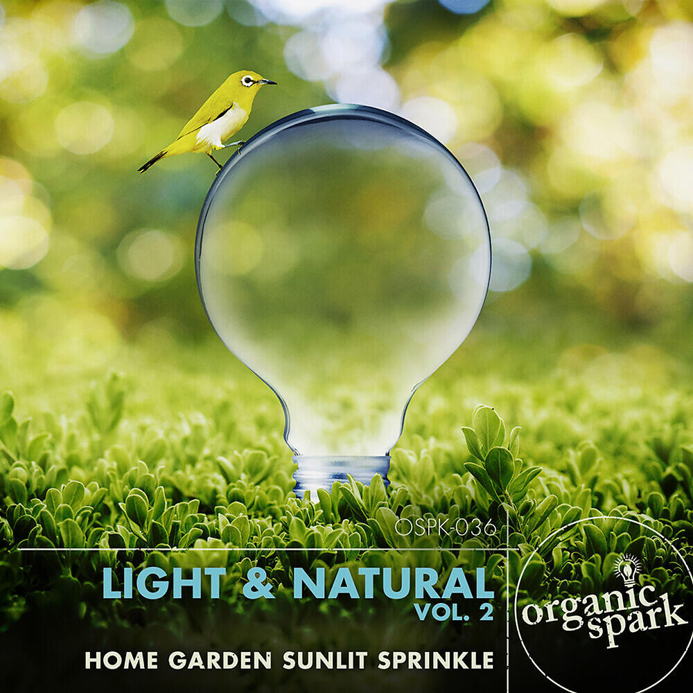 Organic Spark - Treehouse Twilight
