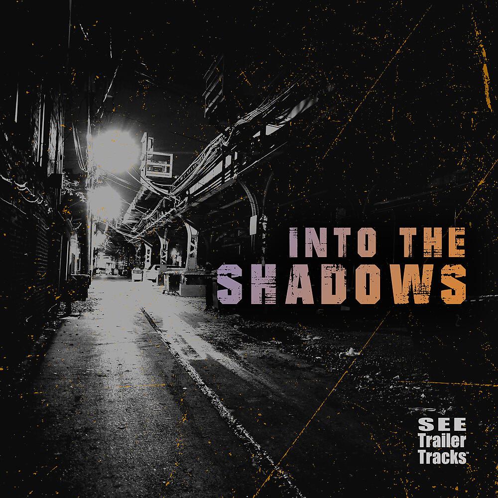 Постер альбома Into the Shadows