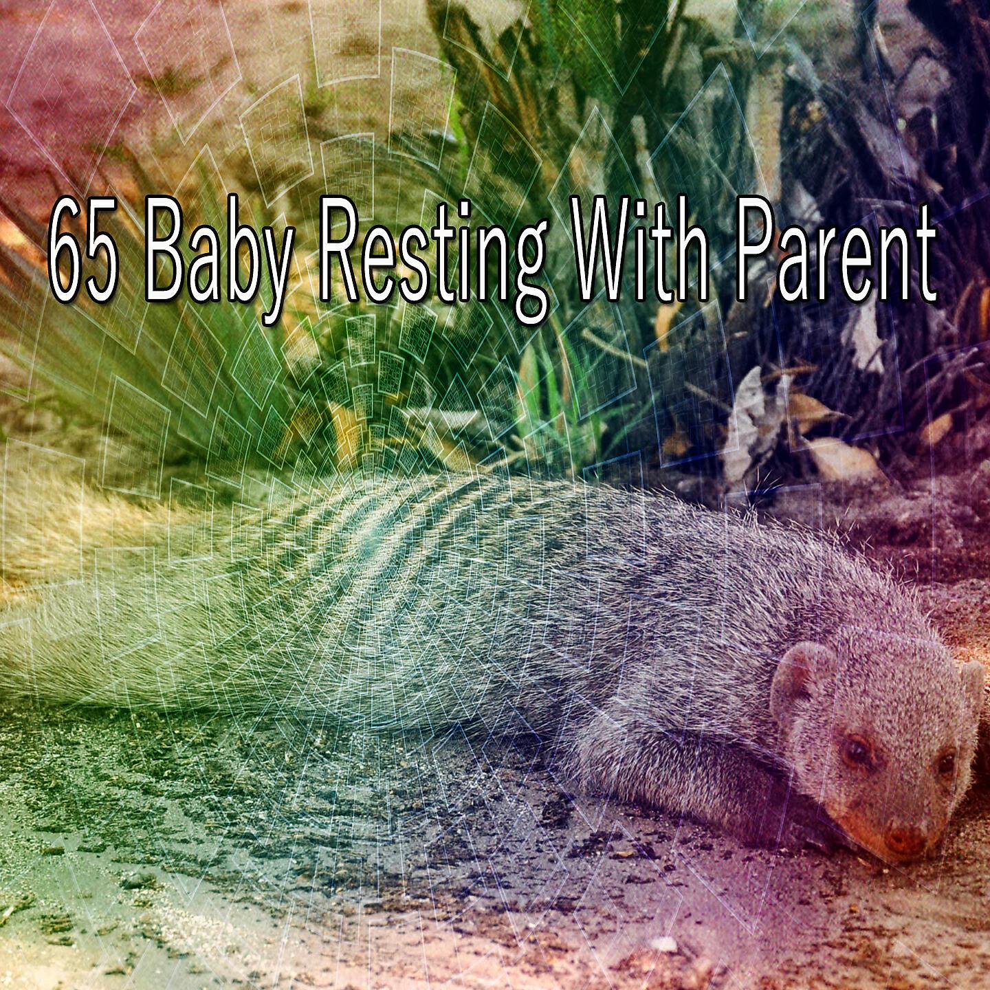 Rockabye Lullaby - The Peaceful Night