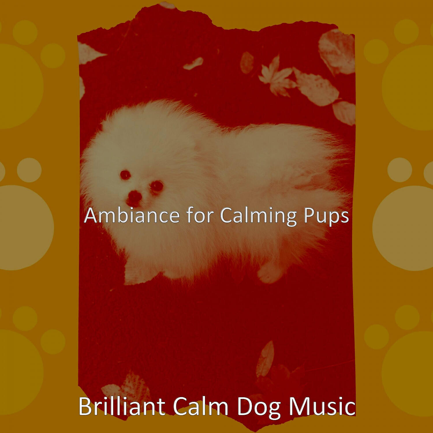 Brilliant Calm Dog Music - Fun Cute Dogs