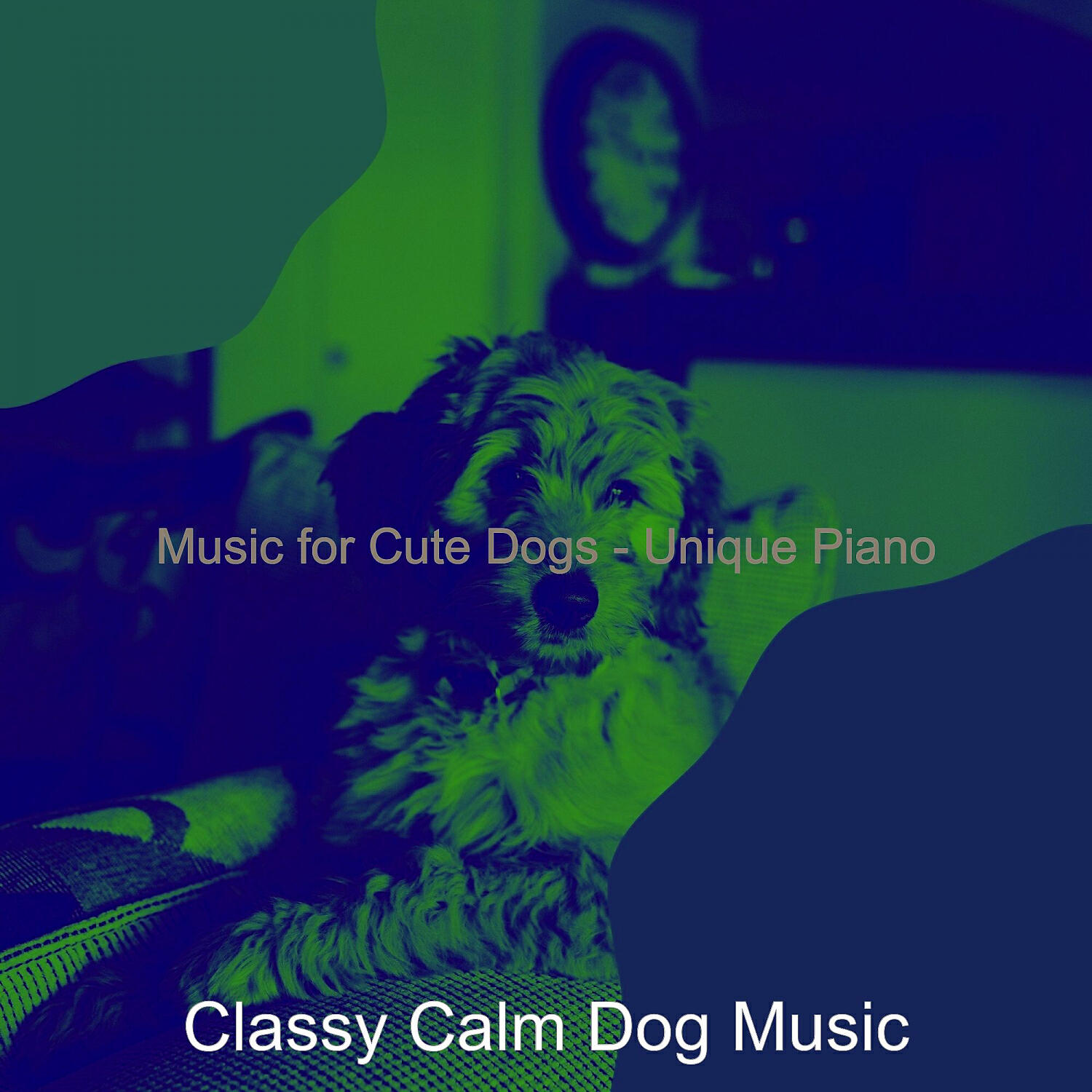 Classy Calm Dog Music - Unique Music for Calming Pups