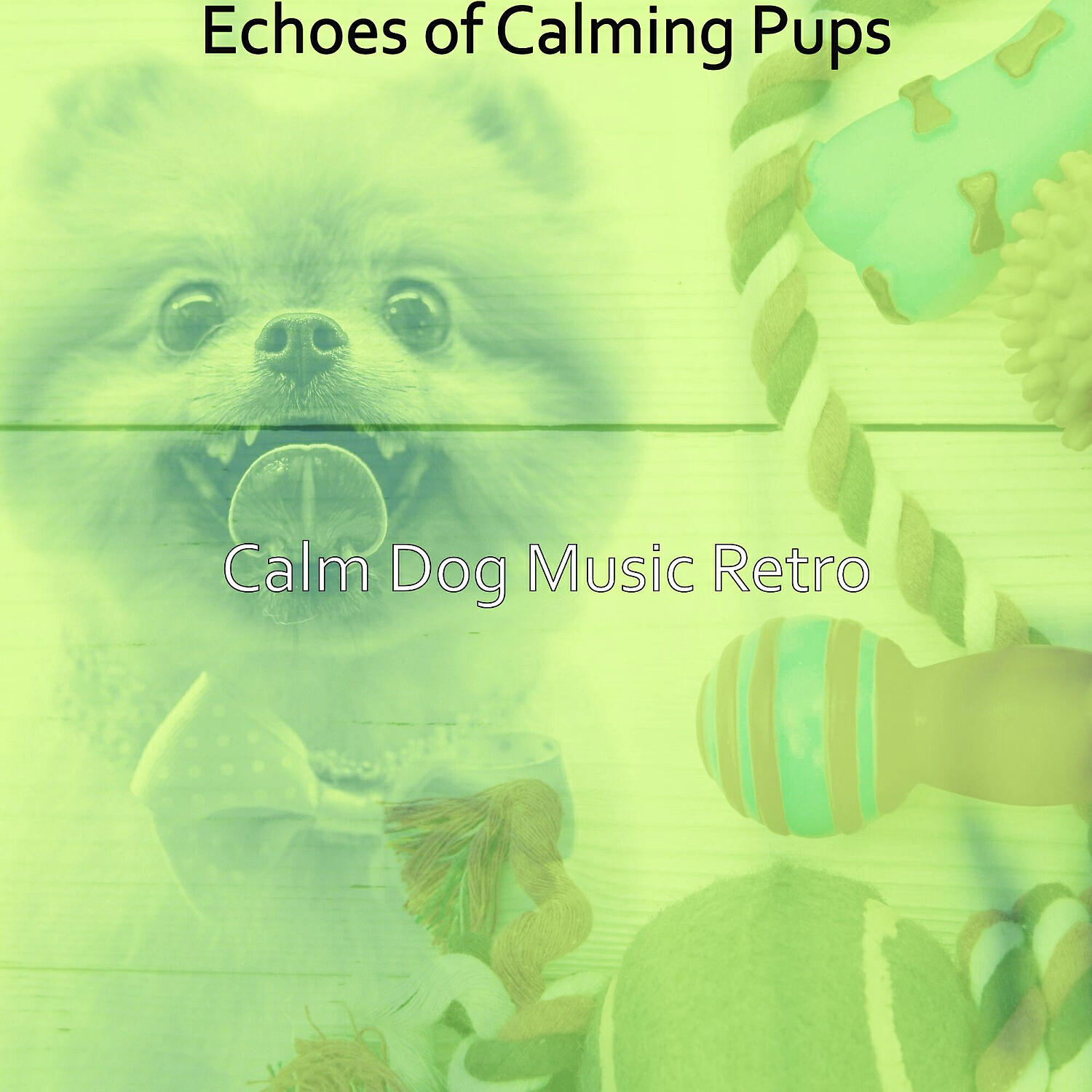Calm Dog Music Retro - Dashing Relaxing Dogs