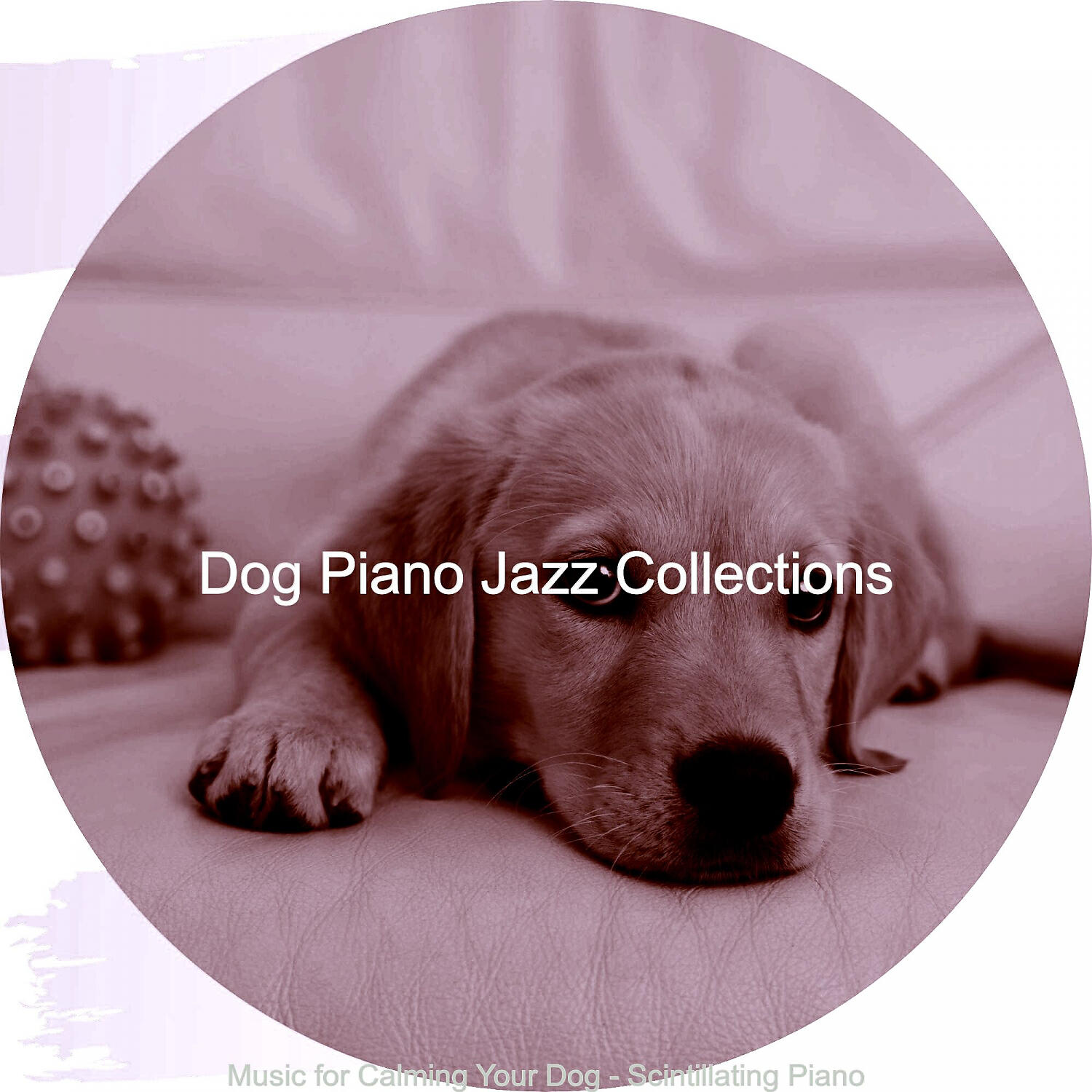 Dog Piano Jazz Collections - Vibrant Backdrops for Relaxing Dogs