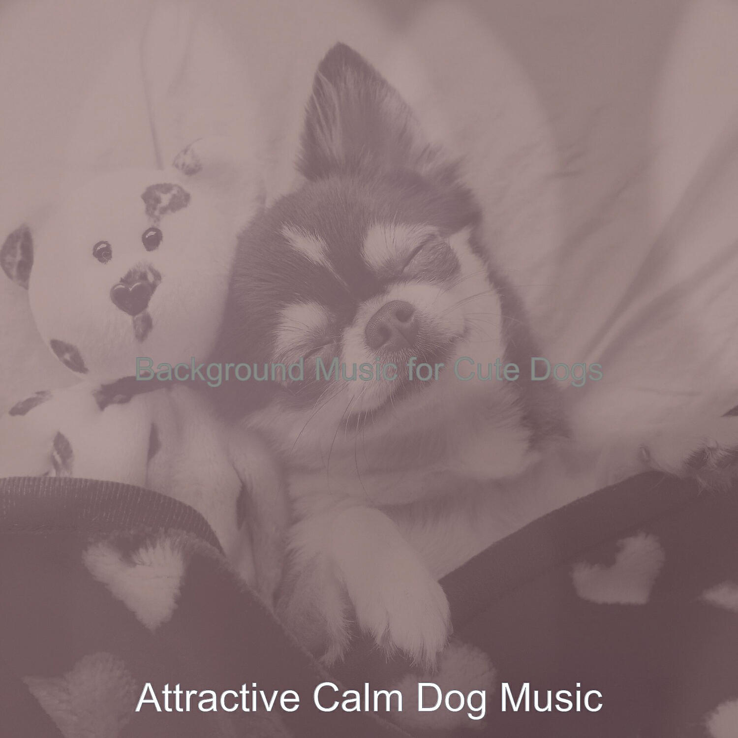 Attractive Calm Dog Music - Mysterious Relaxing Dogs