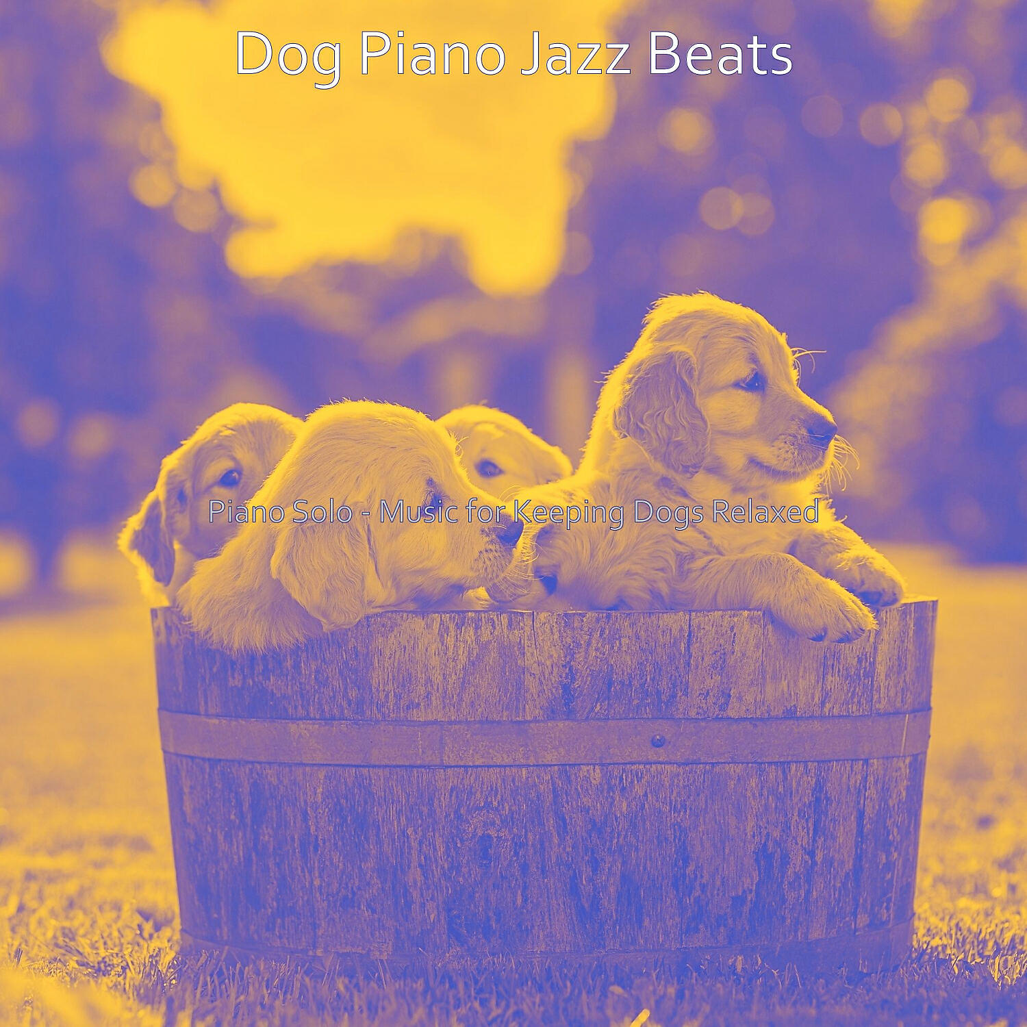 Dog Piano Jazz Beats - Sunny Solo Piano Jazz - Vibe for Calming Your Dog
