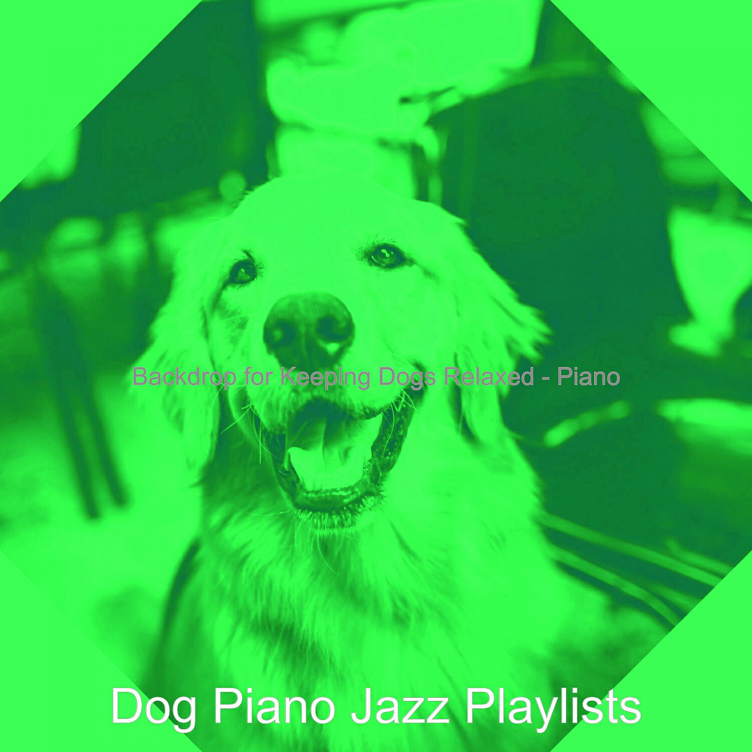 Dog Piano Jazz Playlists - Mind-blowing Music for Keeping Dogs Relaxed