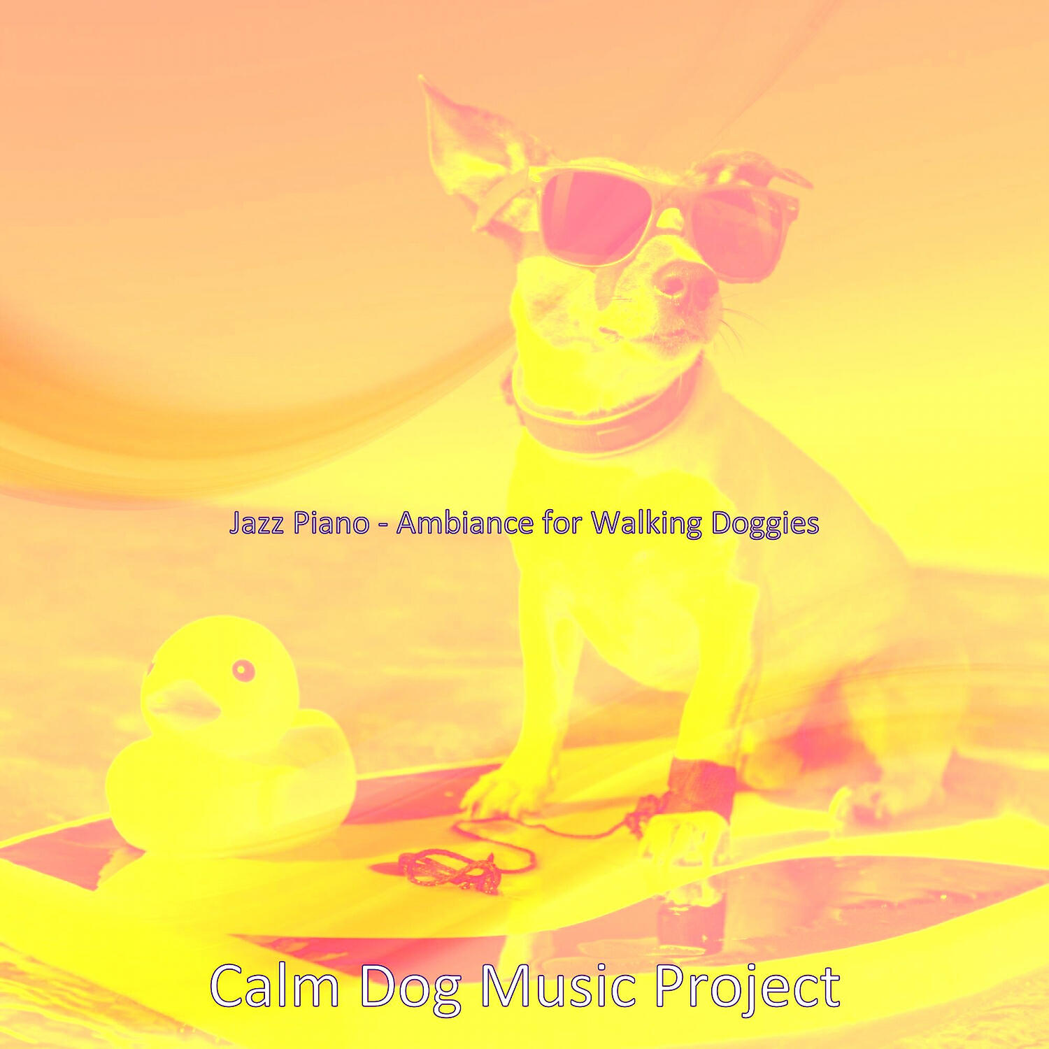 Calm Dog Music Project - Modern Solo Piano Jazz - Vibe for Doggies