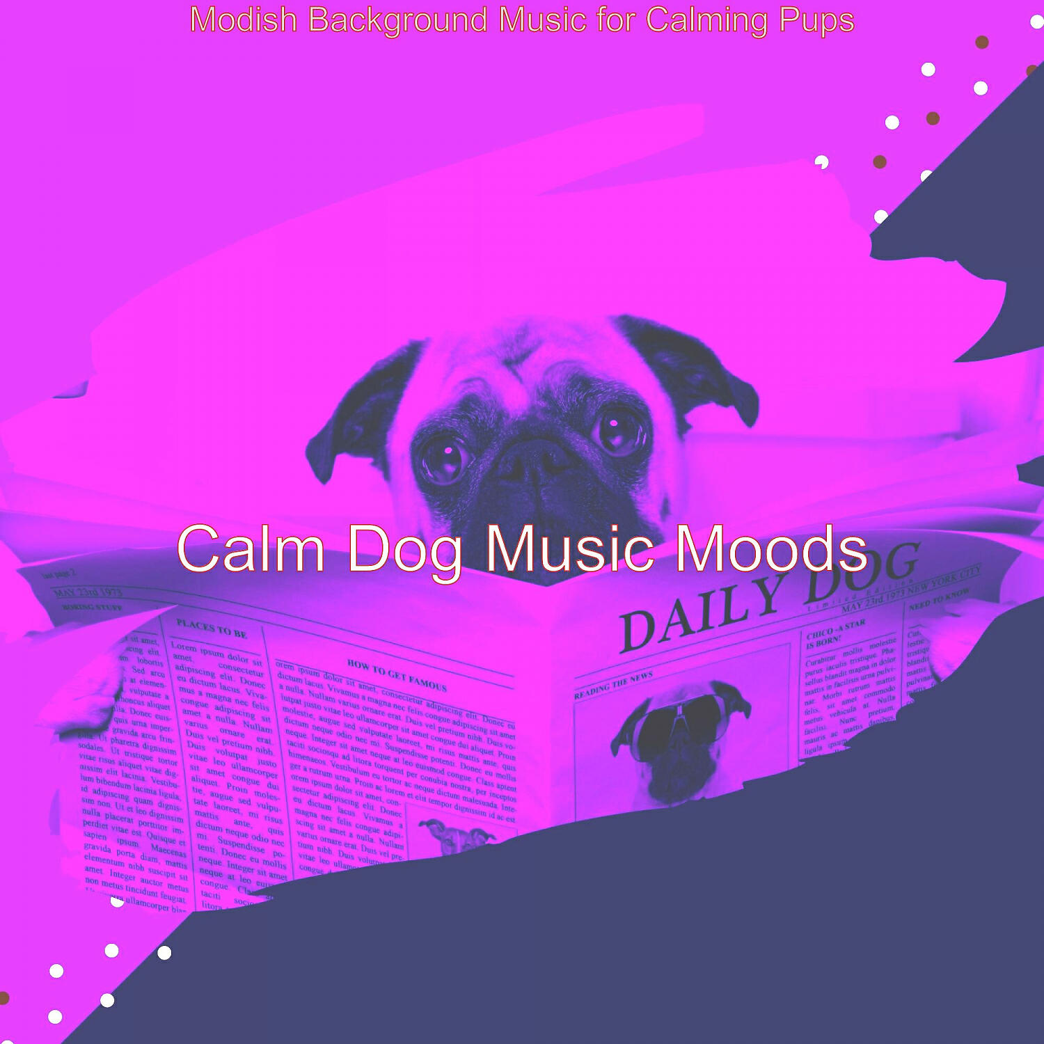 Calm Dog Music Moods - Sublime Relaxing Dogs