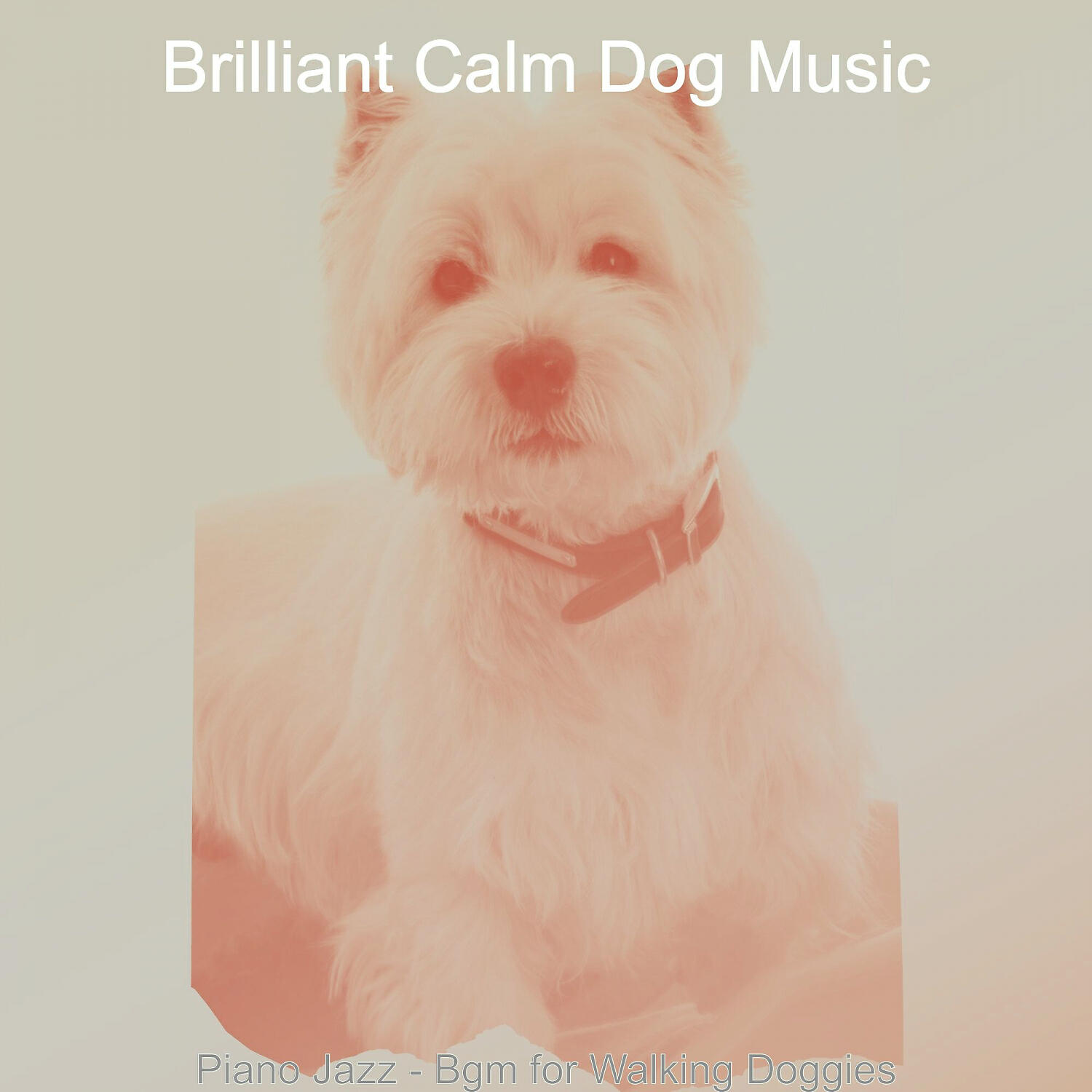 Brilliant Calm Dog Music - Outstanding Backdrops for Walking Doggies