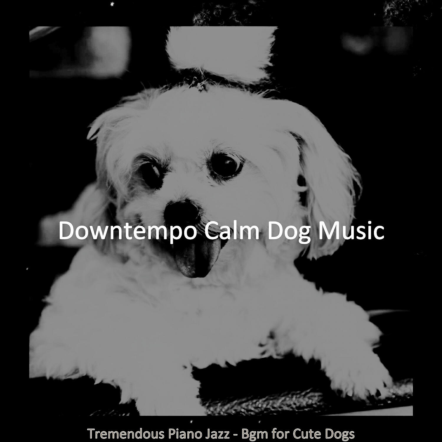 Downtempo Calm Dog Music - Deluxe Solo Piano Jazz - Vibe for Relaxing Dogs