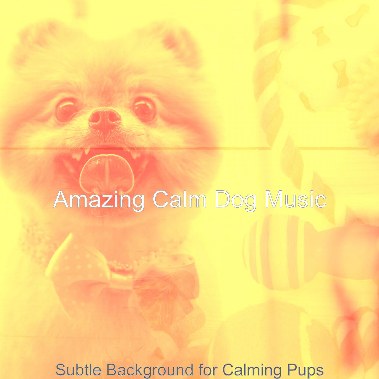 Amazing Calm Dog Music - Background for Doggy Training