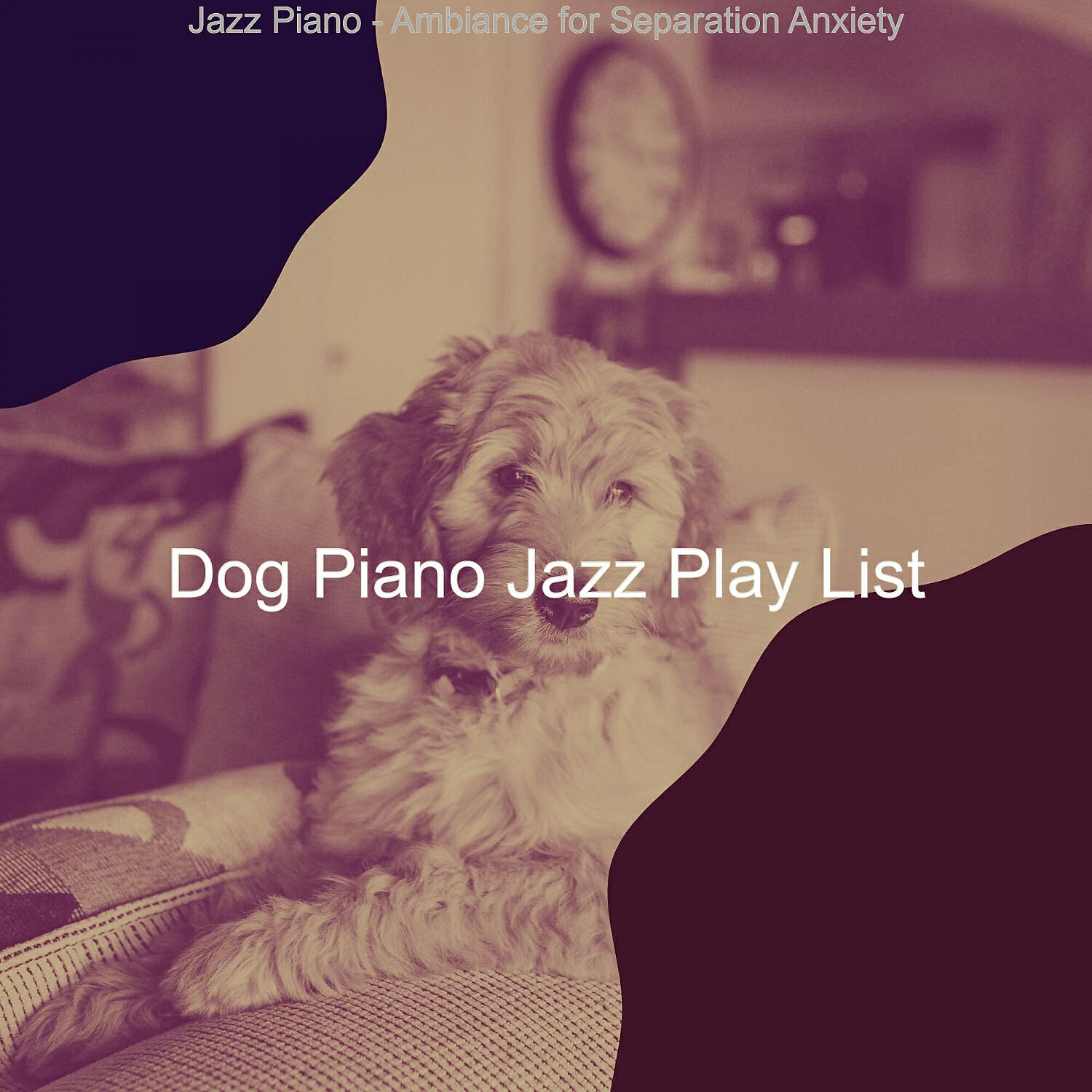 Dog Piano Jazz Play List - Quiet Solo Piano Jazz - Vibe for Separation Anxiety