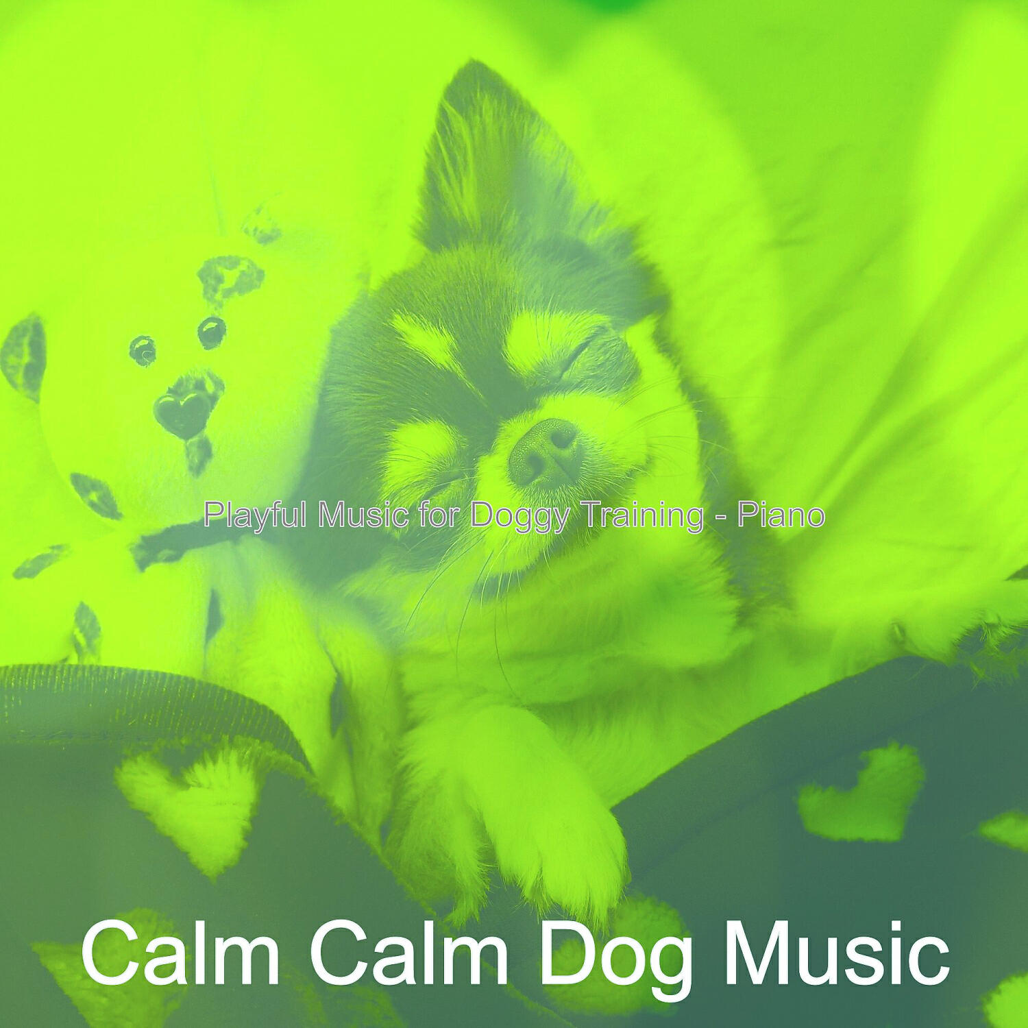 Calm Calm Dog Music - Successful Ambience for Relaxing Dogs