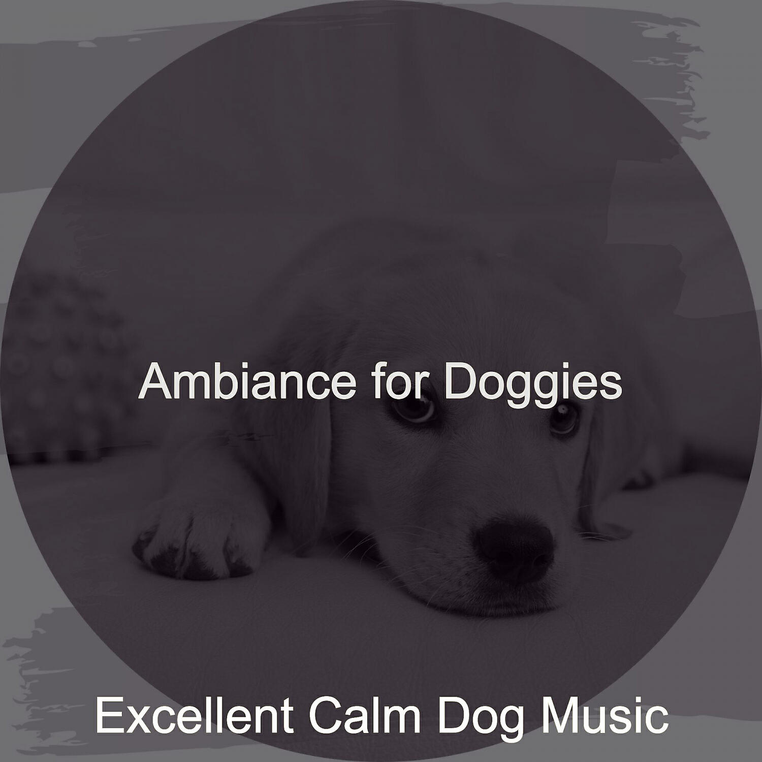 Excellent Calm Dog Music - Sophisticated Music for Cute Dogs