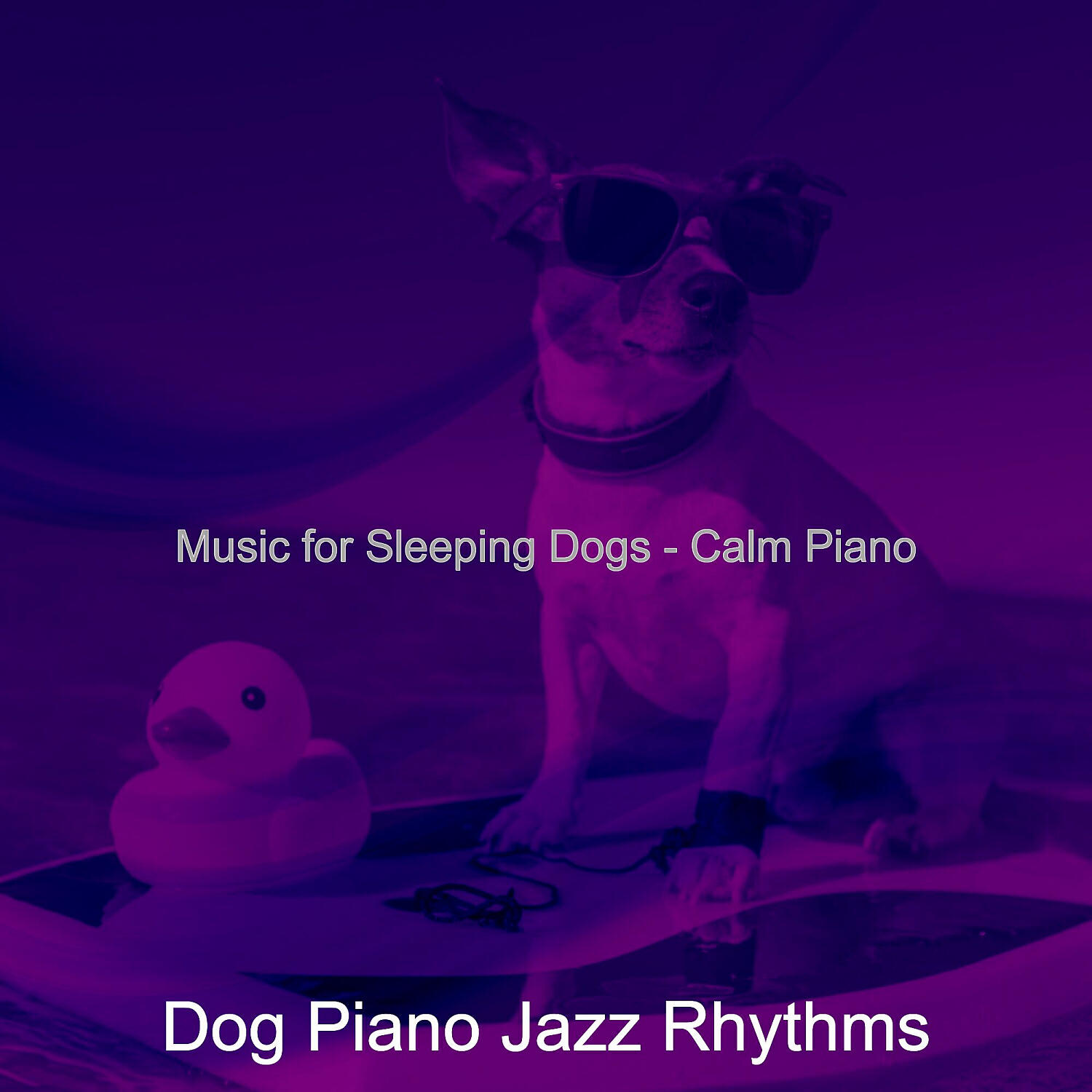 Dog Piano Jazz Rhythms - Cheerful Backdrops for Quiet Puppies