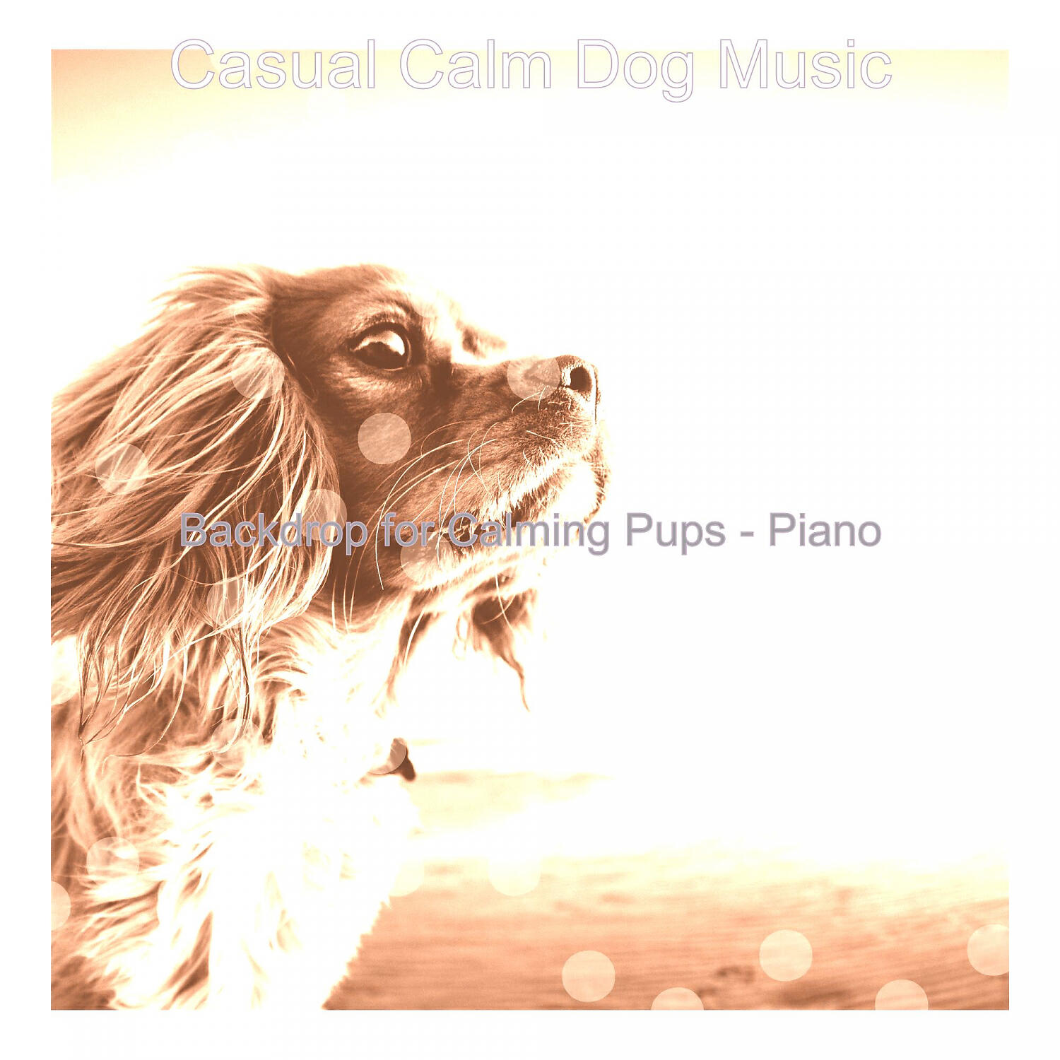 Casual Calm Dog Music - Wicked Solo Piano Jazz - Vibe for Cute Dogs