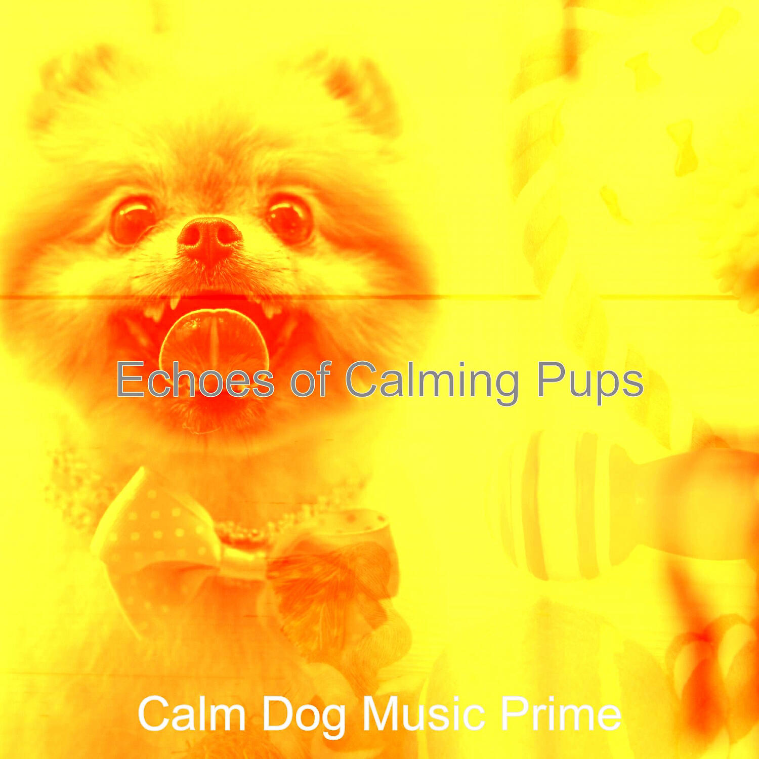 Calm Dog Music Prime - Carefree Solo Piano Jazz - Vibe for Cute Dogs