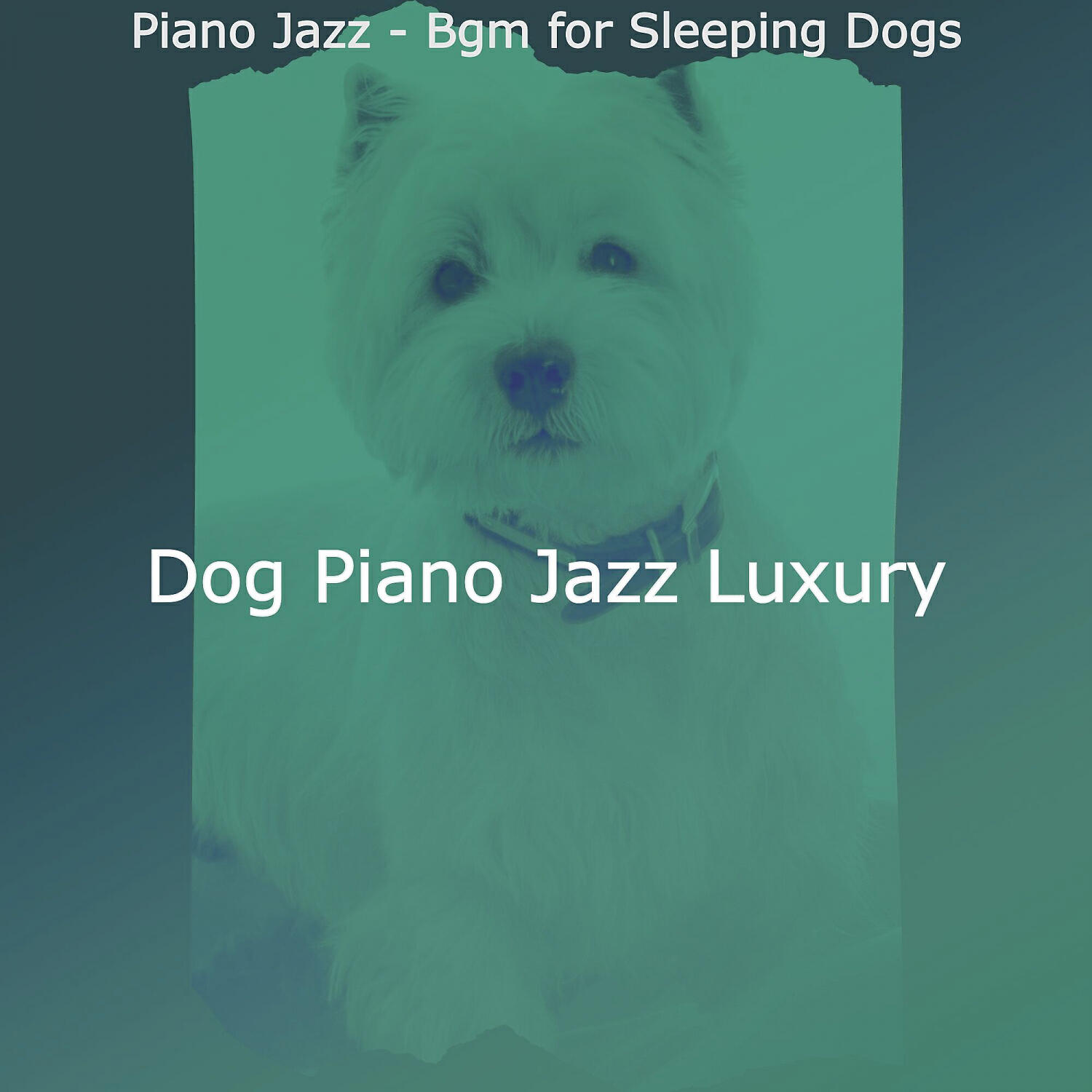 Dog Piano Jazz Luxury - Laid-back Moods for Relaxing Dogs