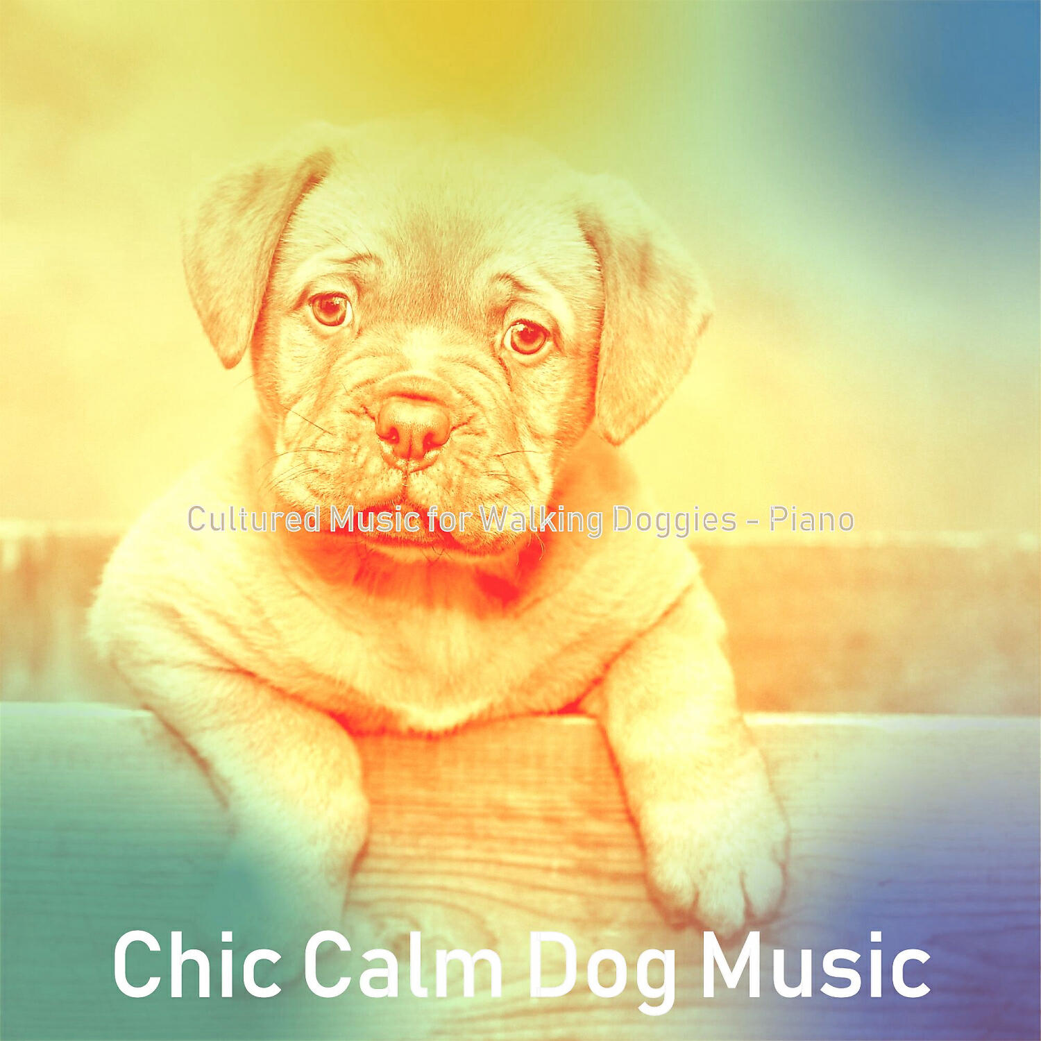 Chic Calm Dog Music - Hip Solo Piano Jazz - Vibe for Calming Pups