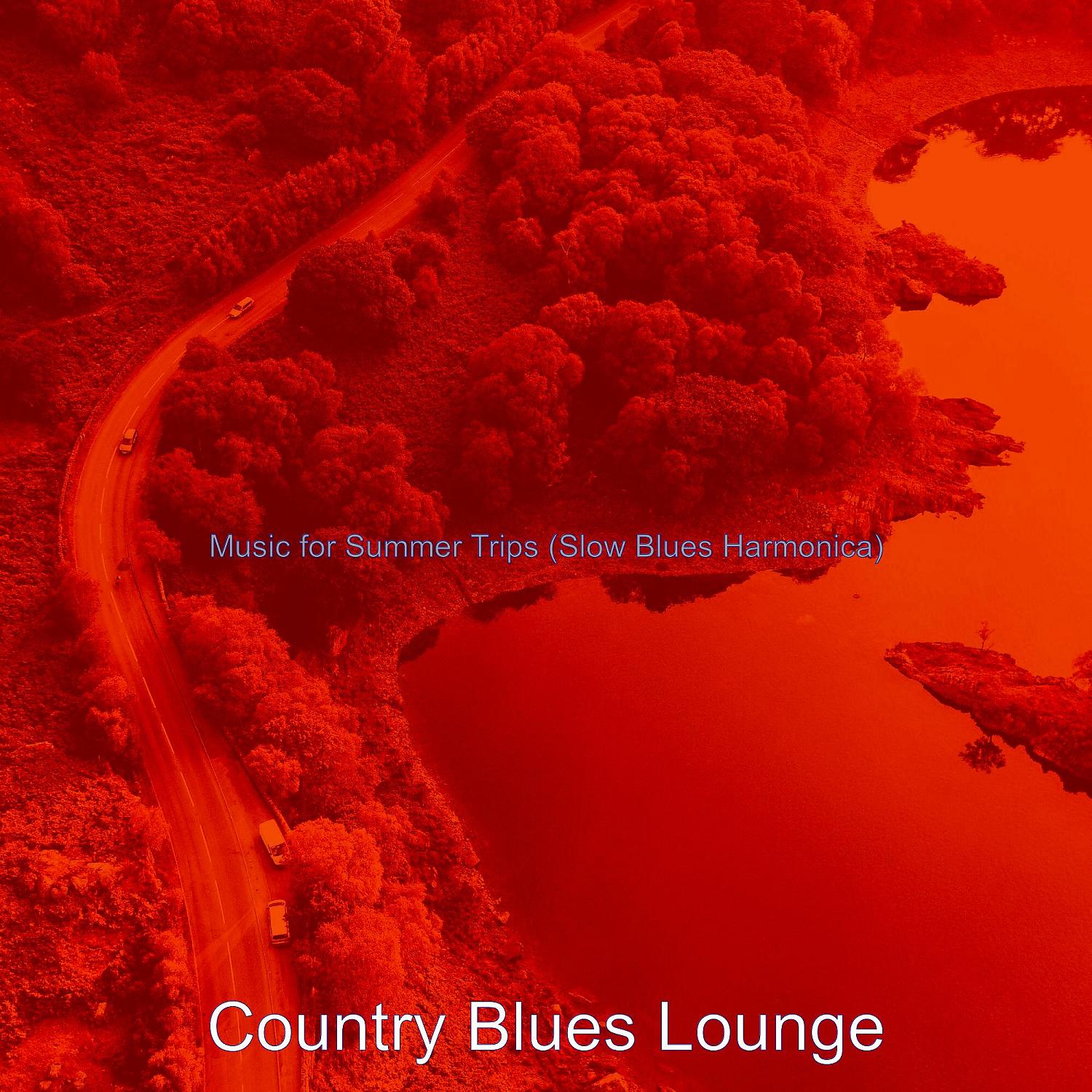 Постер альбома Music for Summer Trips (Slow Blues Harmonica)