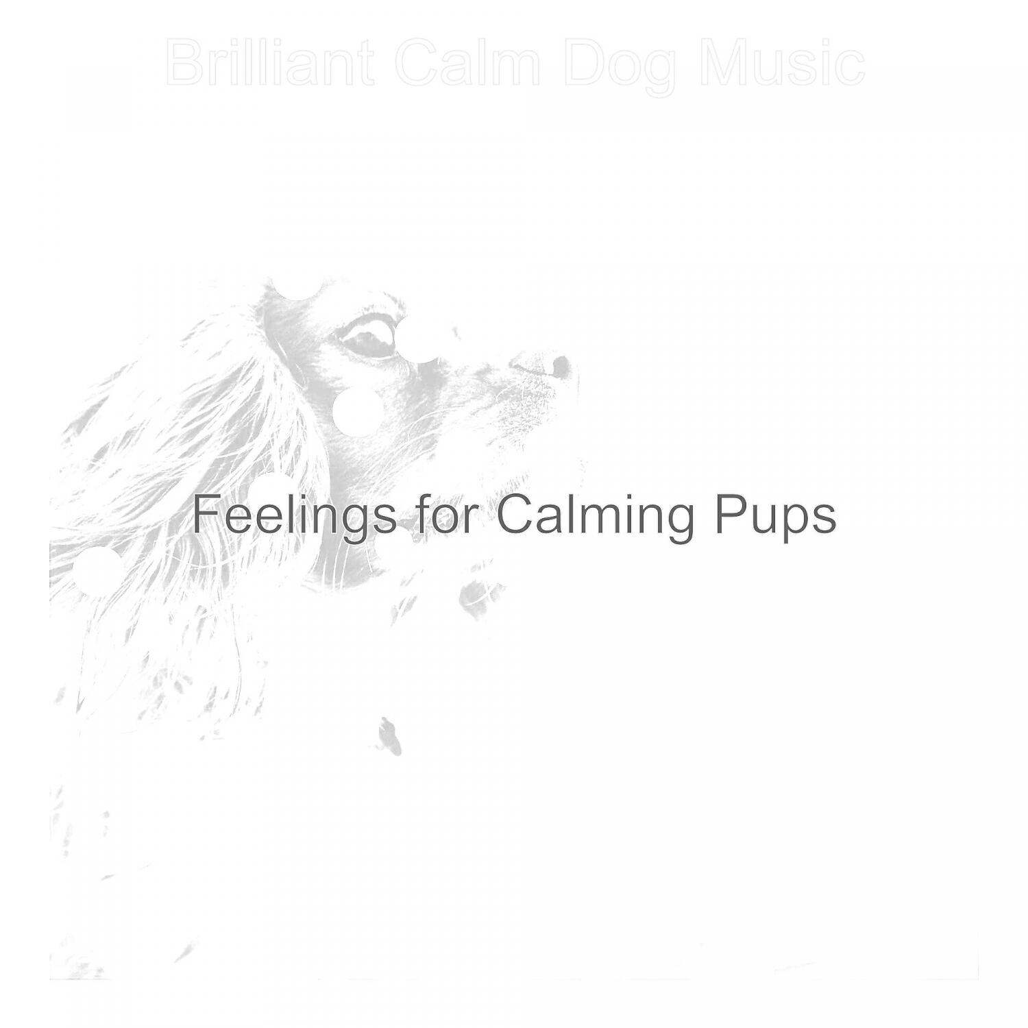 Brilliant Calm Dog Music - Smoky Backdrops for Walking Doggies