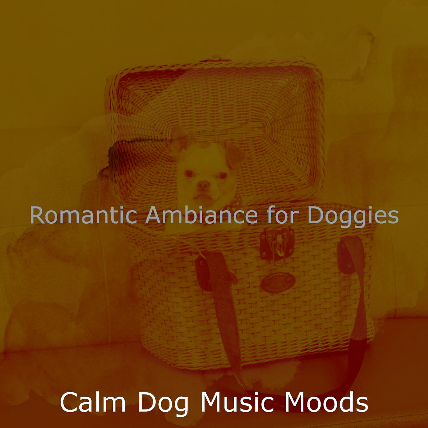 Calm Dog Music Moods - Energetic Music for Relaxing Dogs