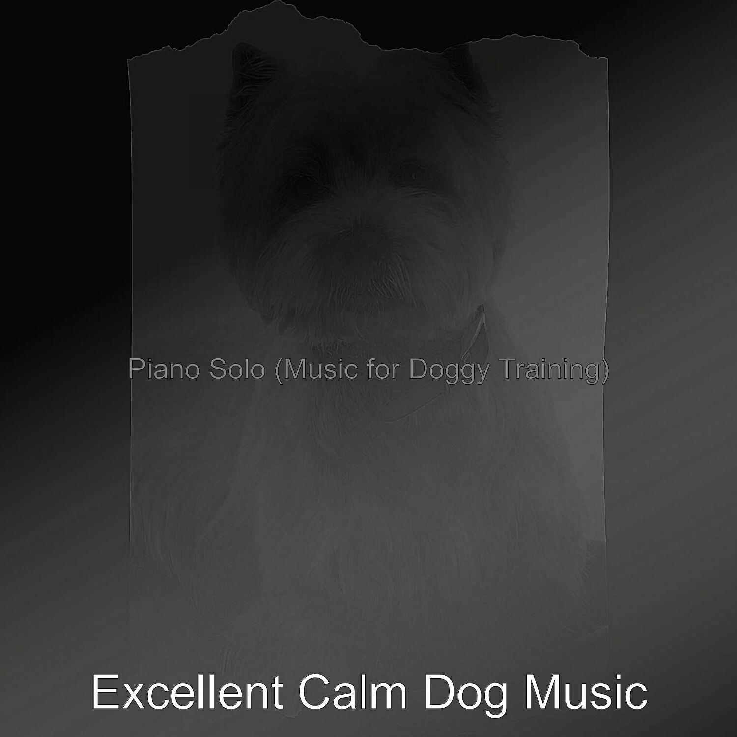 Excellent Calm Dog Music - Inspired Solo Piano Jazz - Vibe for Calming Pups