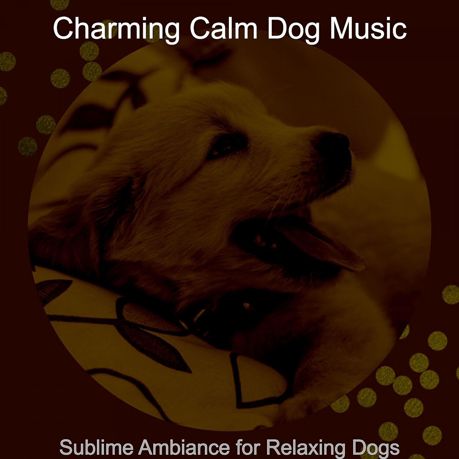 Charming Calm Dog Music - Bubbly Solo Piano Jazz - Vibe for Relaxing Dogs