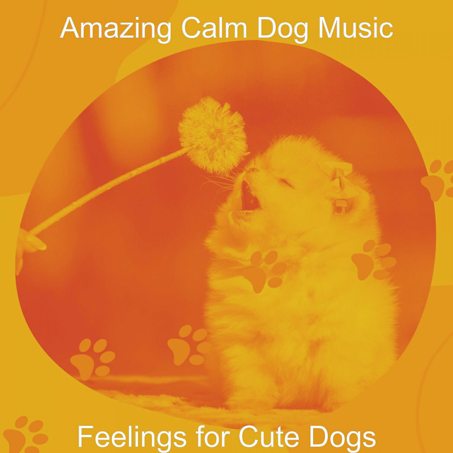 Amazing Calm Dog Music - Background for Doggy Training