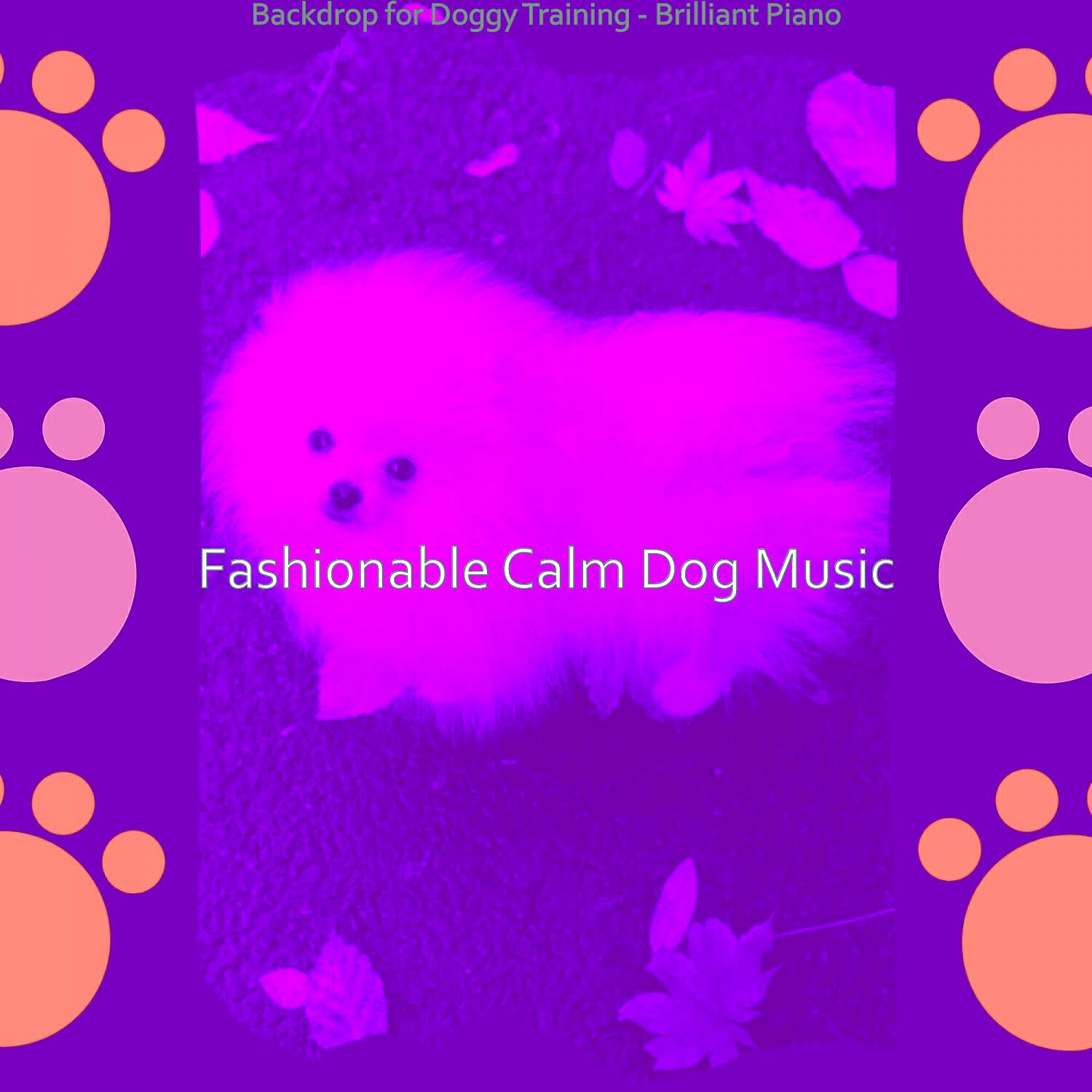 Fashionable Calm Dog Music - Brilliant Backdrops for Doggies