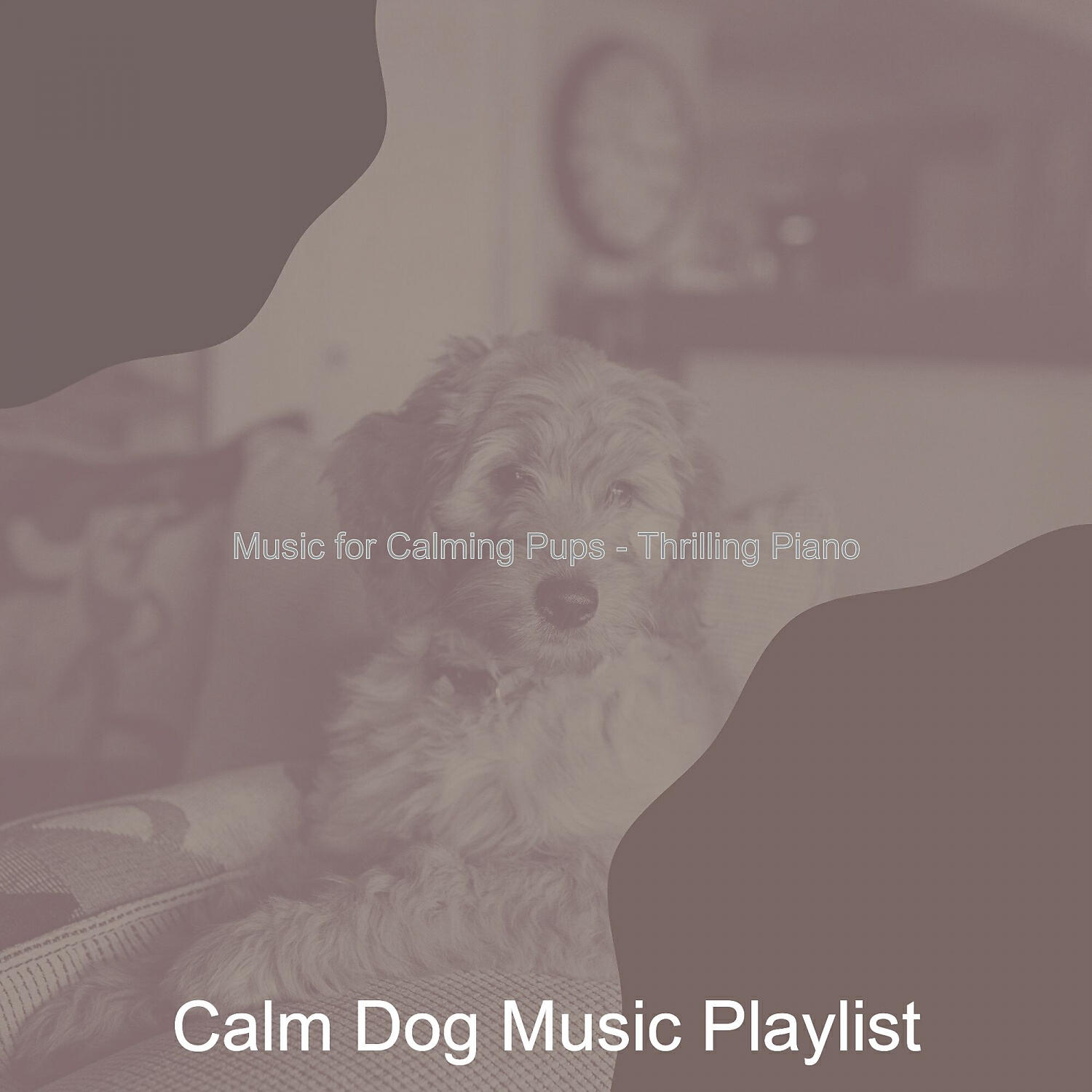 Calm Dog Music Playlist - Mysterious Solo Piano Jazz - Vibe for Relaxing Dogs